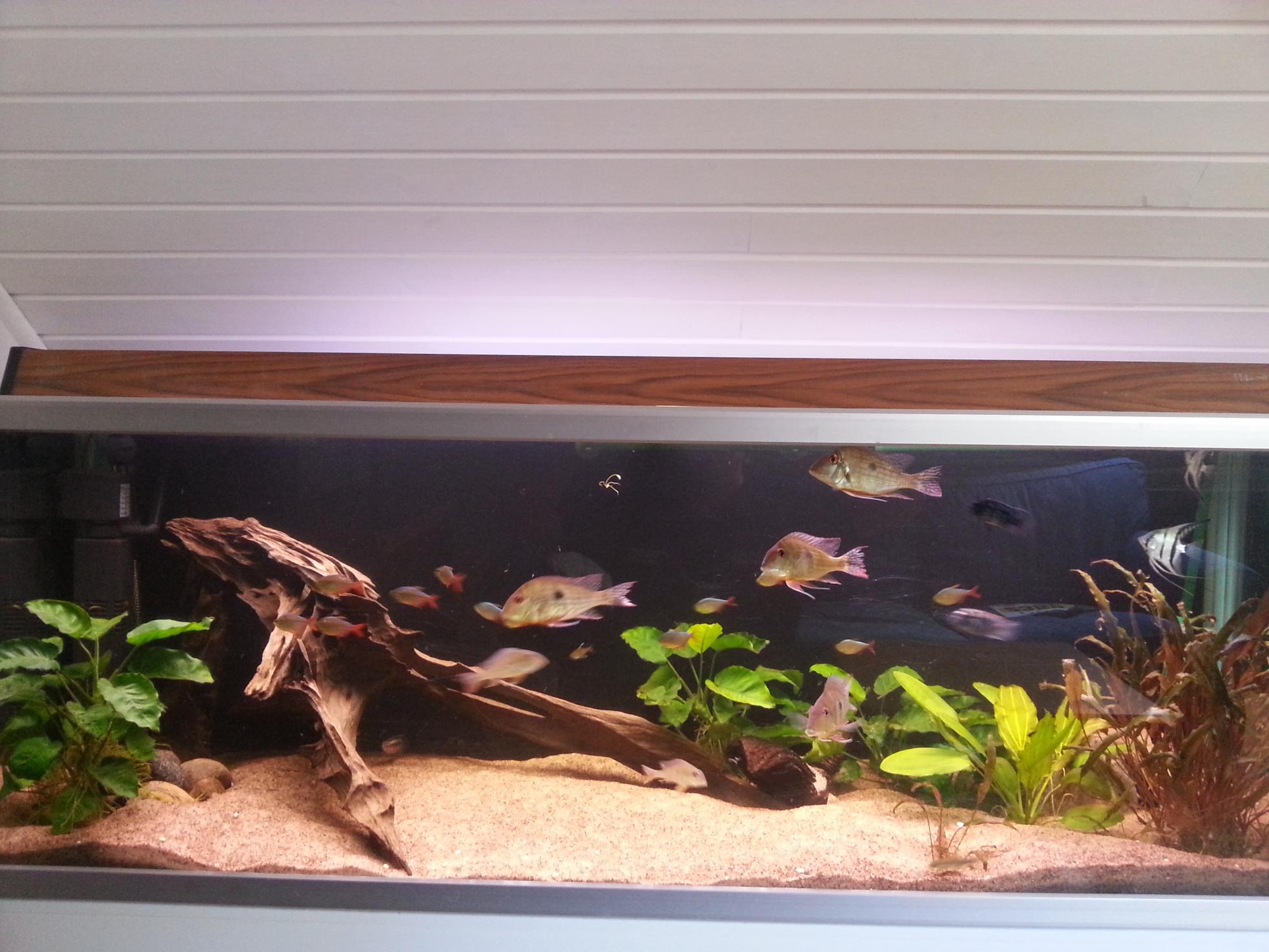 2013-06-17 18.16.20.jpg