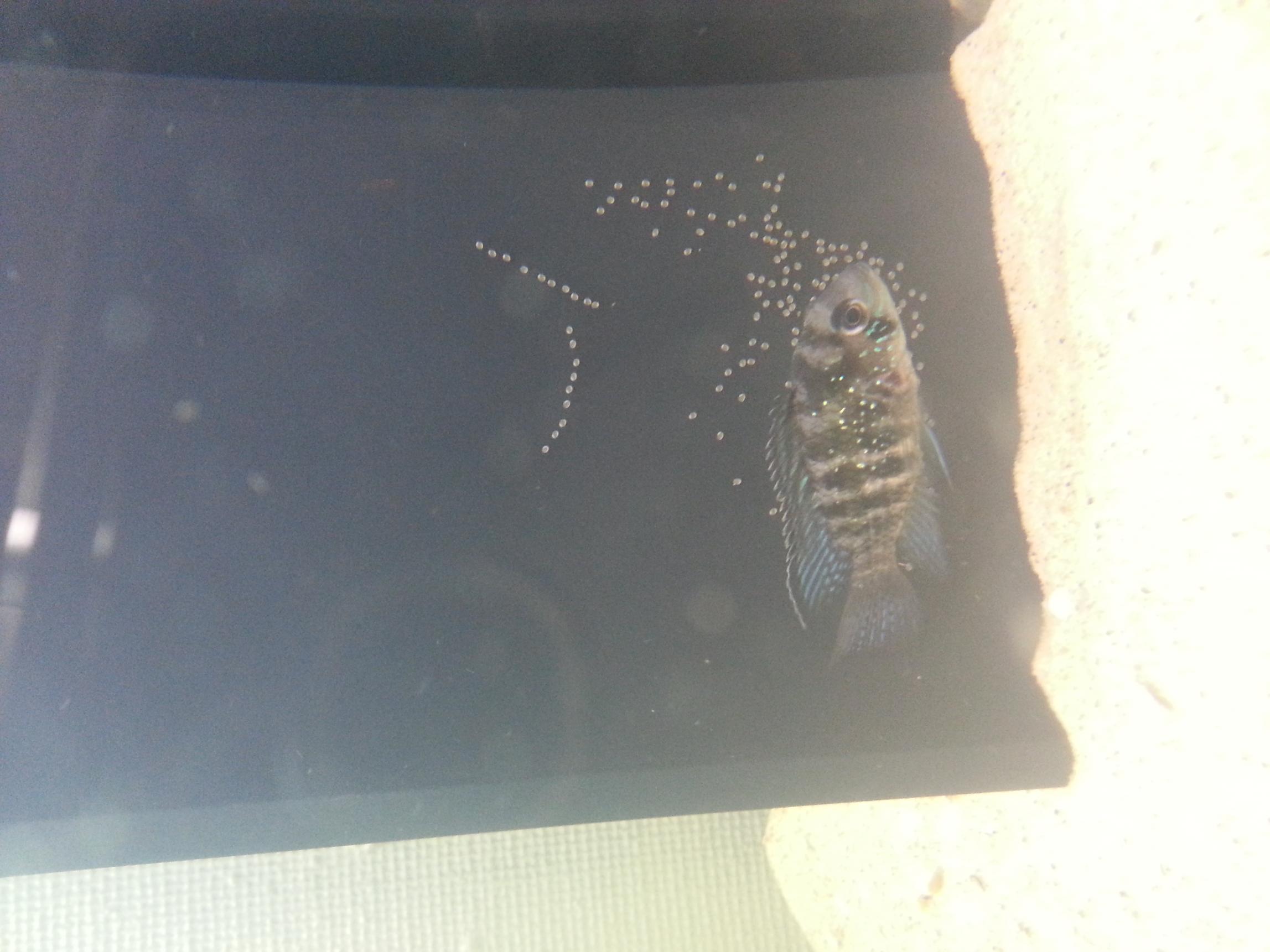 20130717_002017.jpg