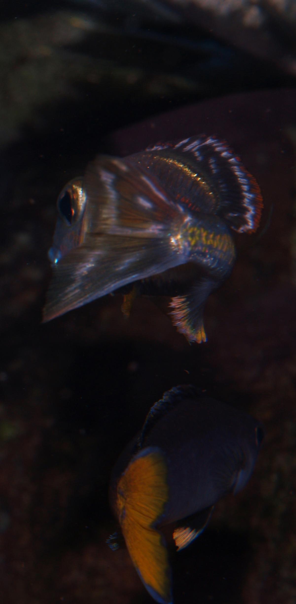 P1013565.jpg