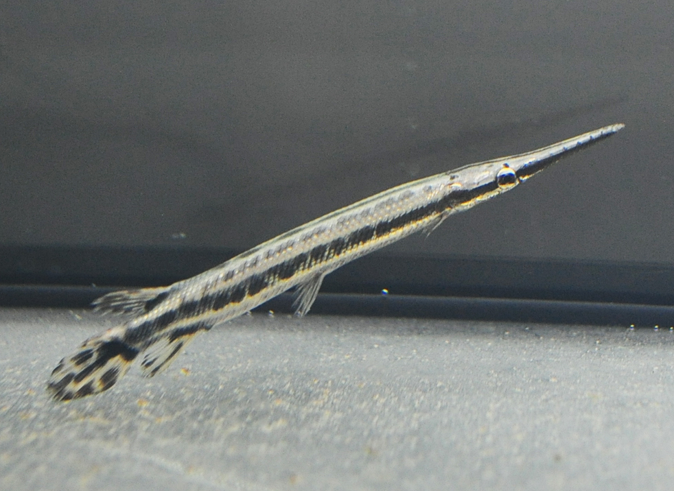 DSC_0011.JPG