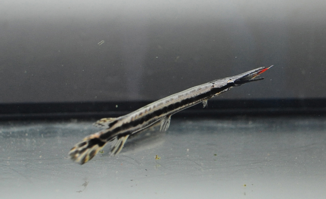 DSC_0022.JPG