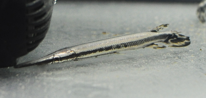 DSC_0008.JPG