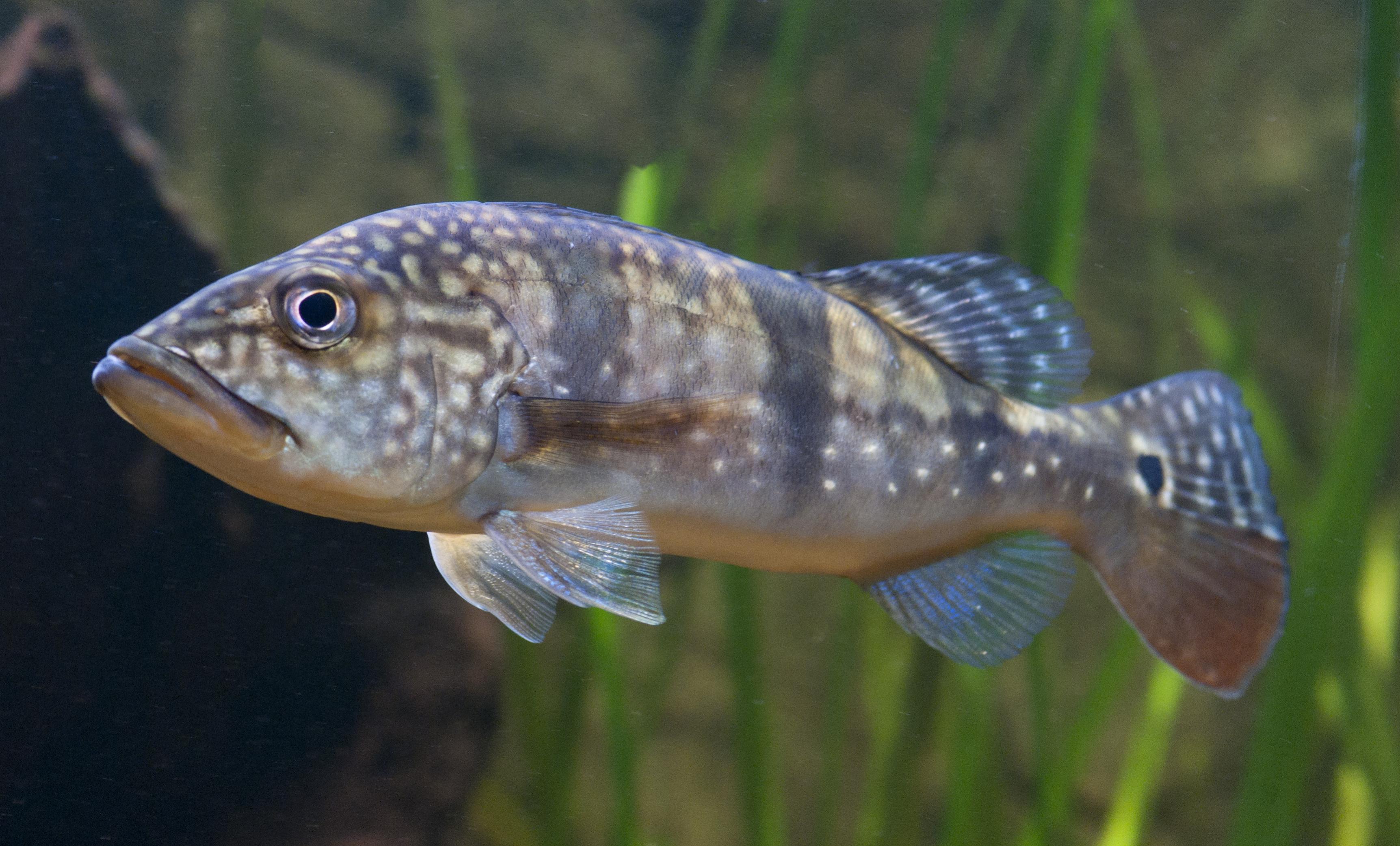 DSC_0025.jpg