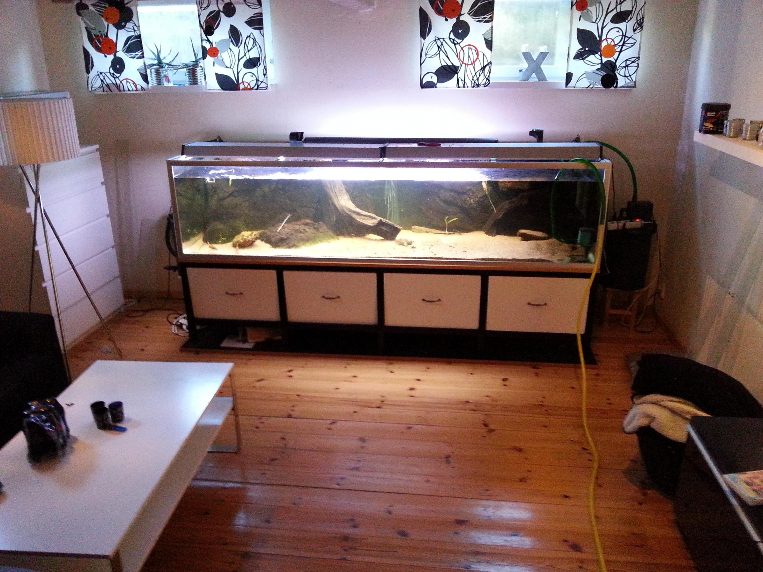 20130913_145635.jpg