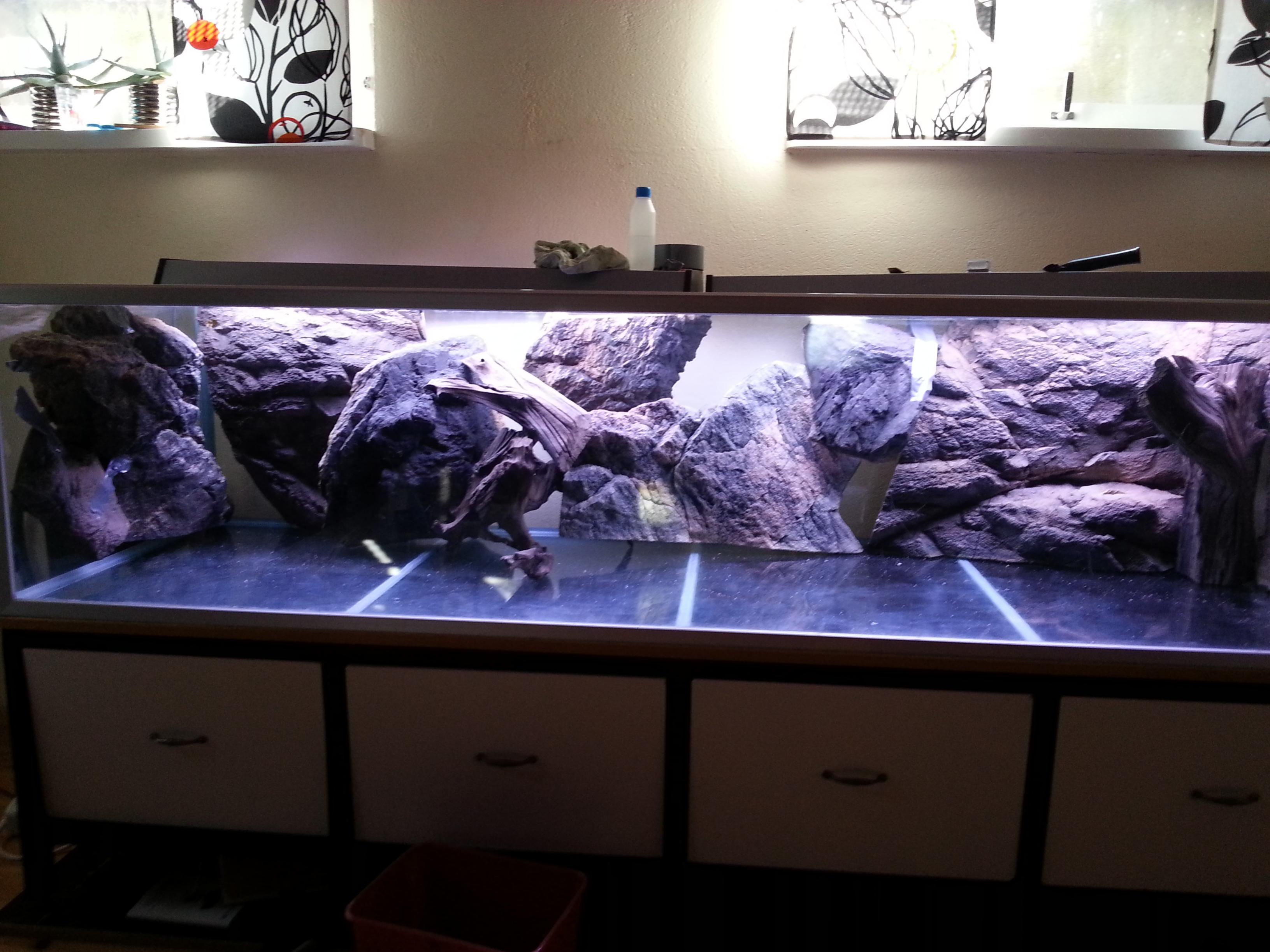 20130919_110729.jpg