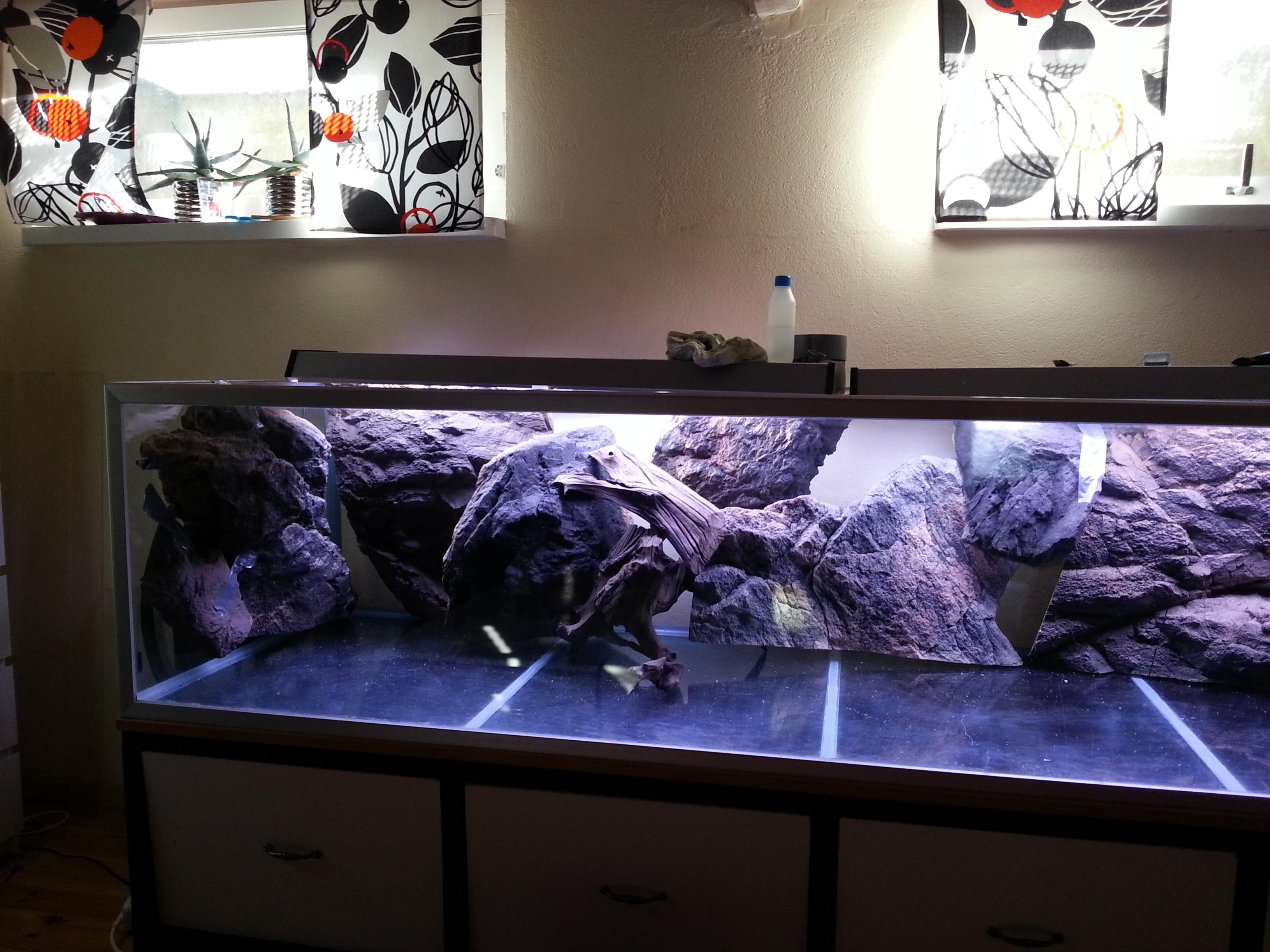 20130919_110750.jpg