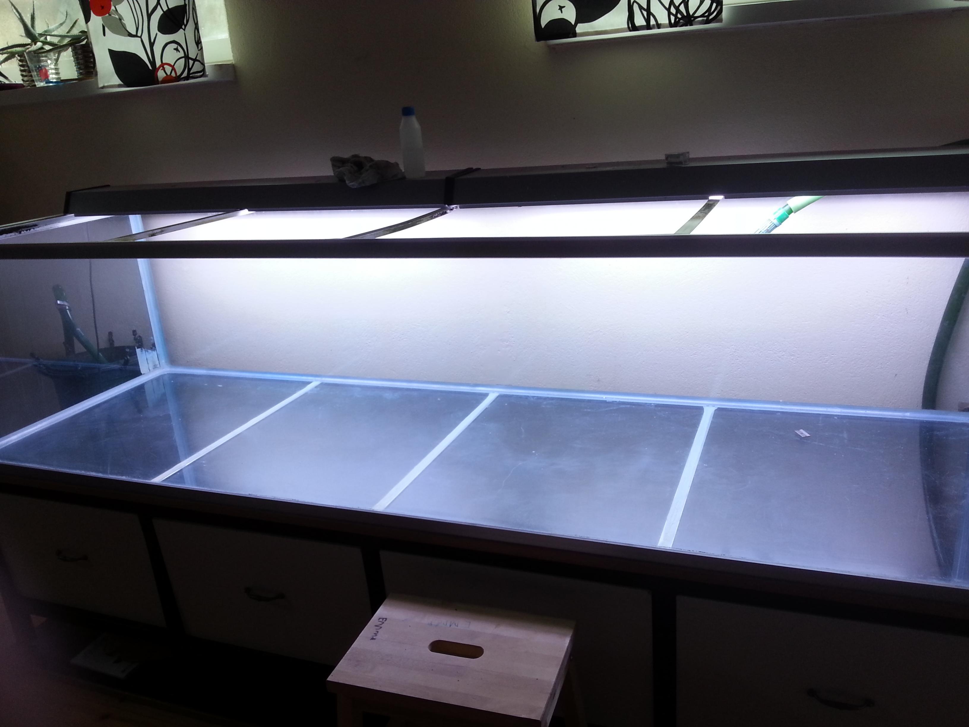 20130918_120029.jpg