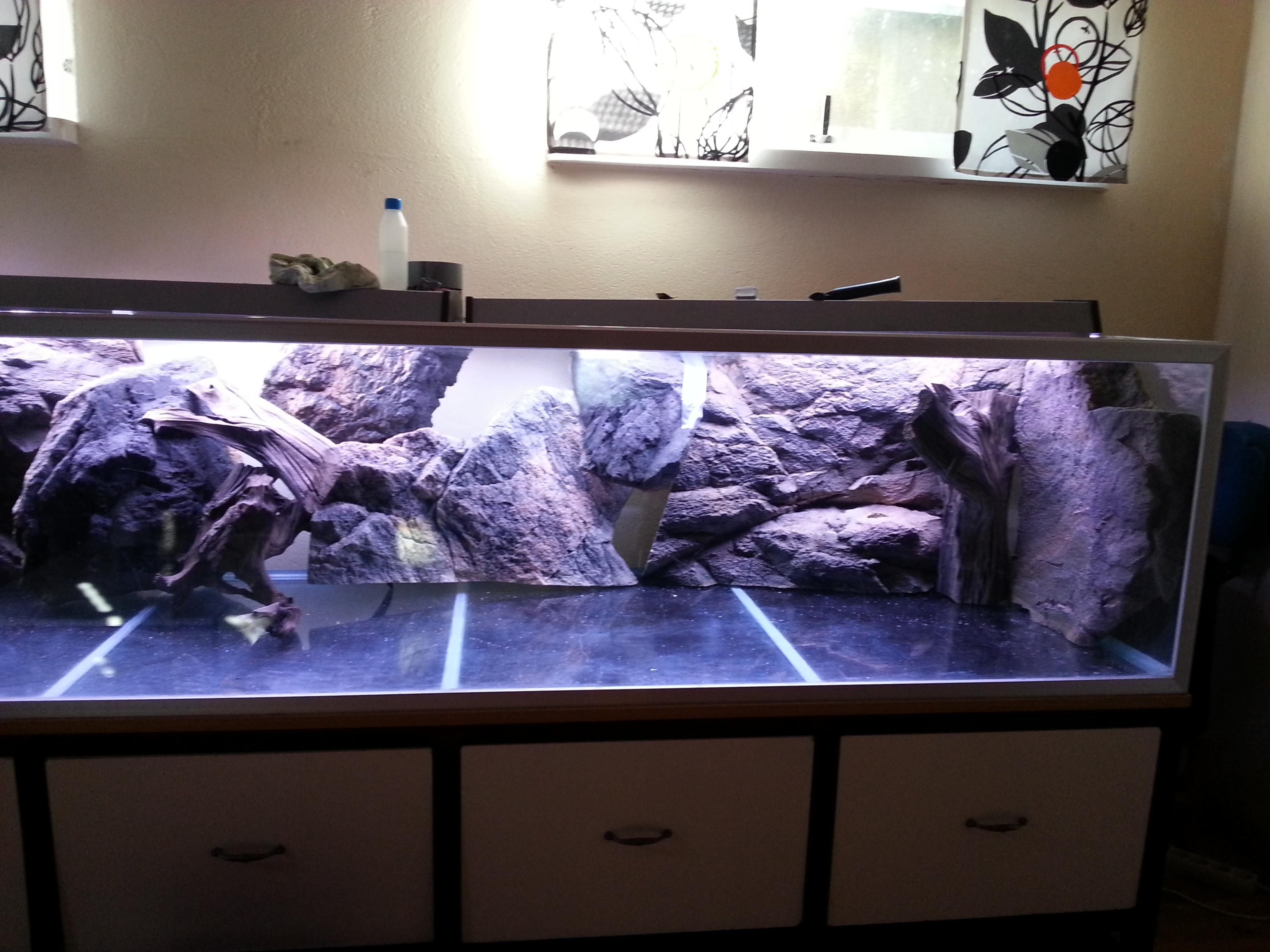 20130919_110742.jpg
