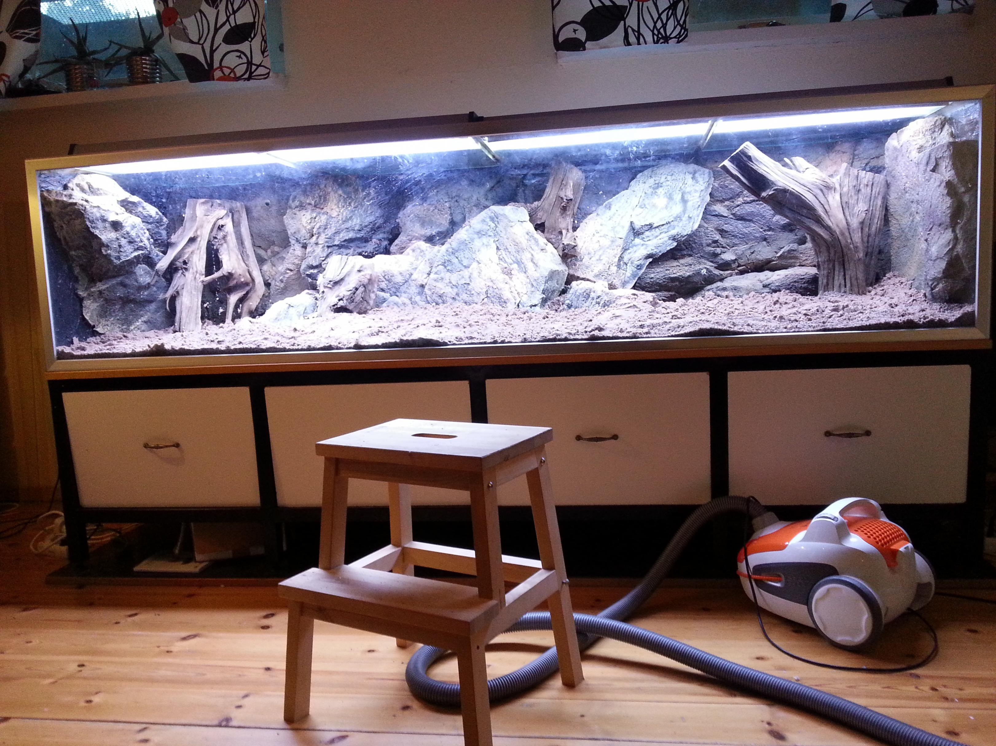 20130925_183457.jpg