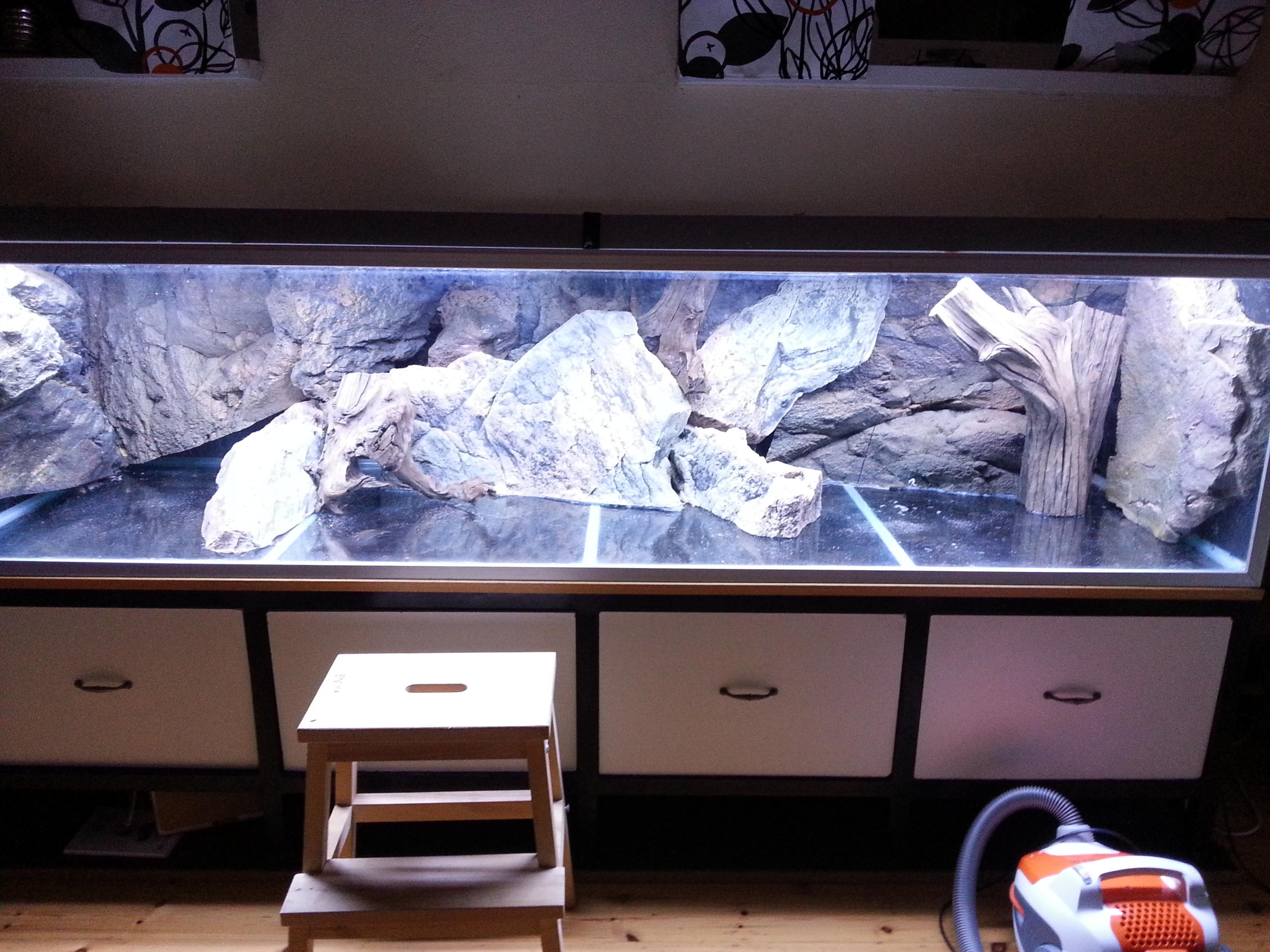 20130923_200223.jpg
