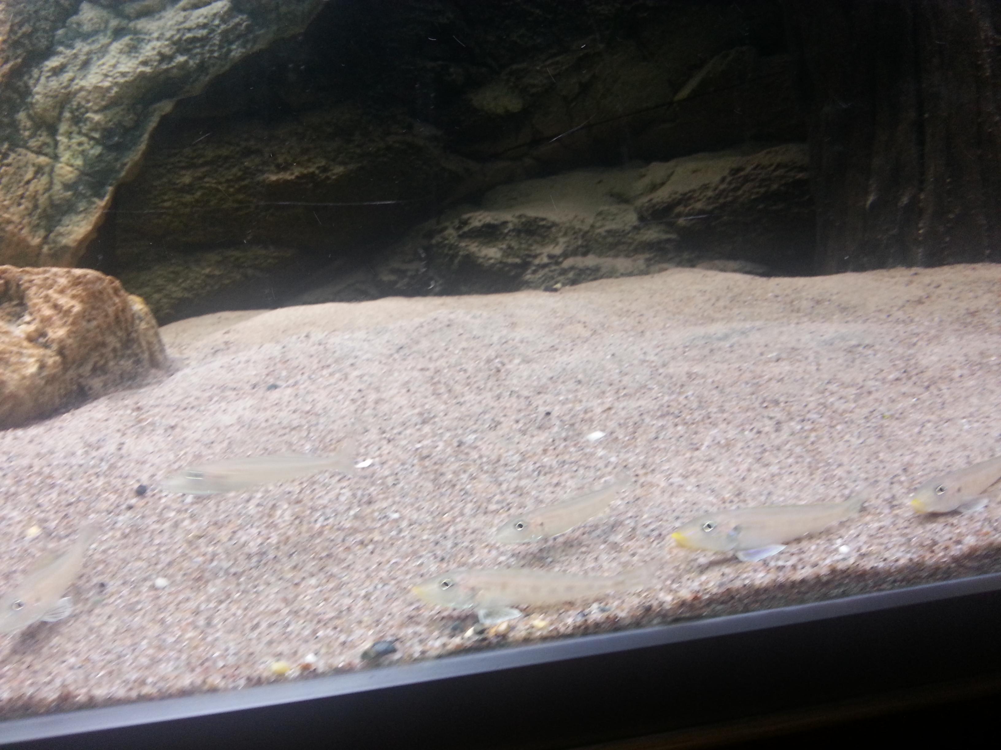 20131005_010734.jpg