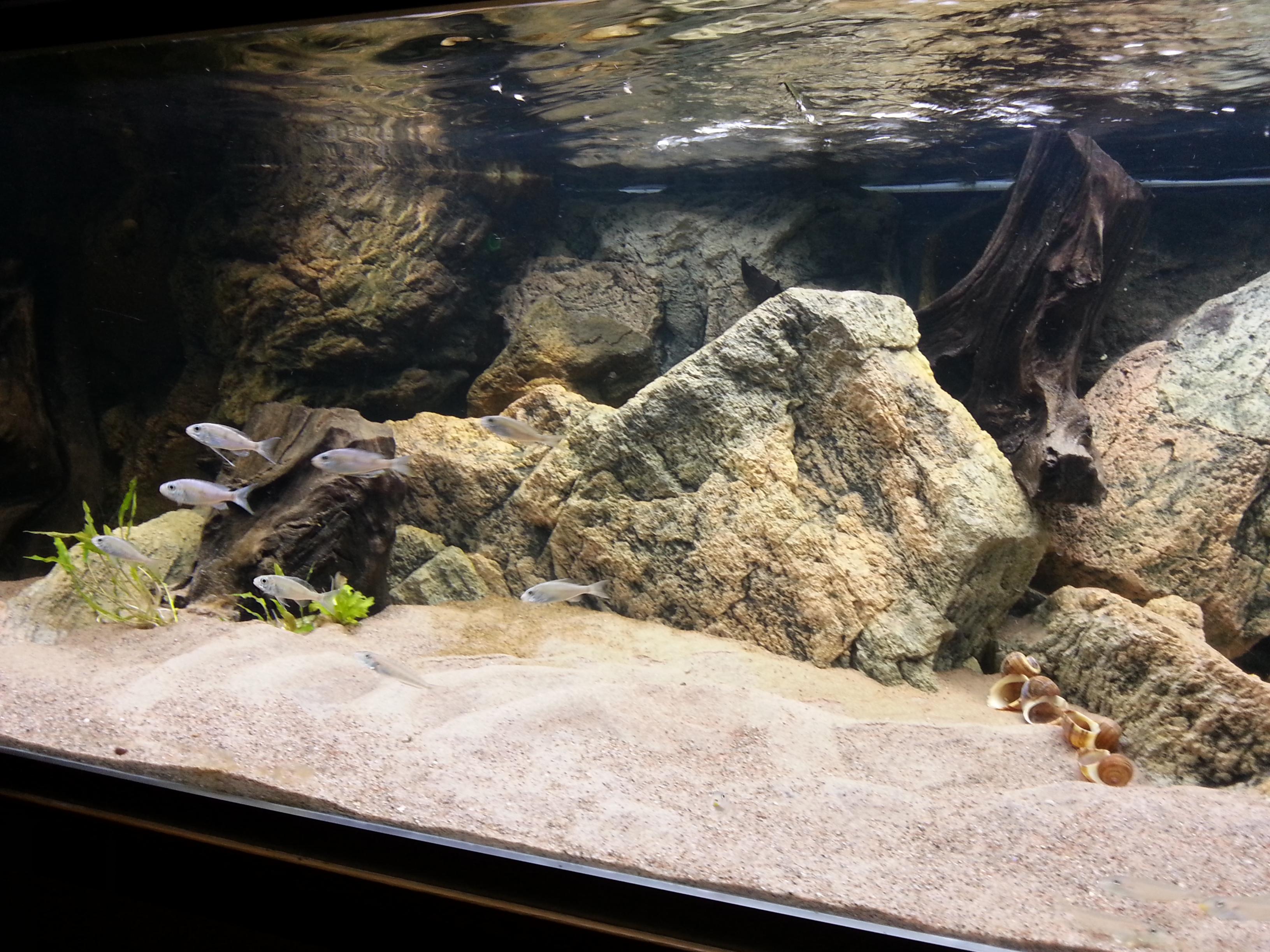 20131004_182759.jpg