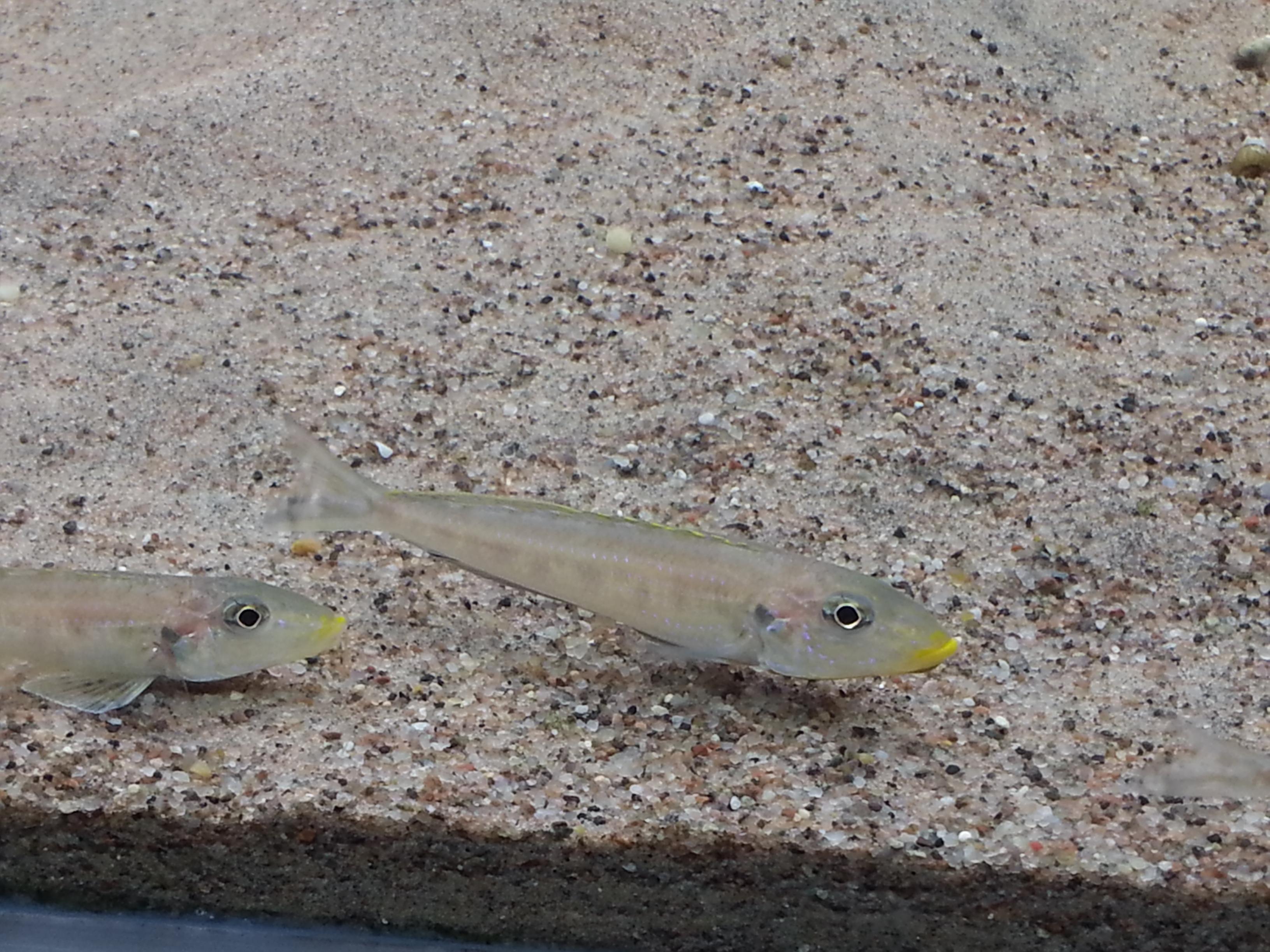 20131005_203901.jpg