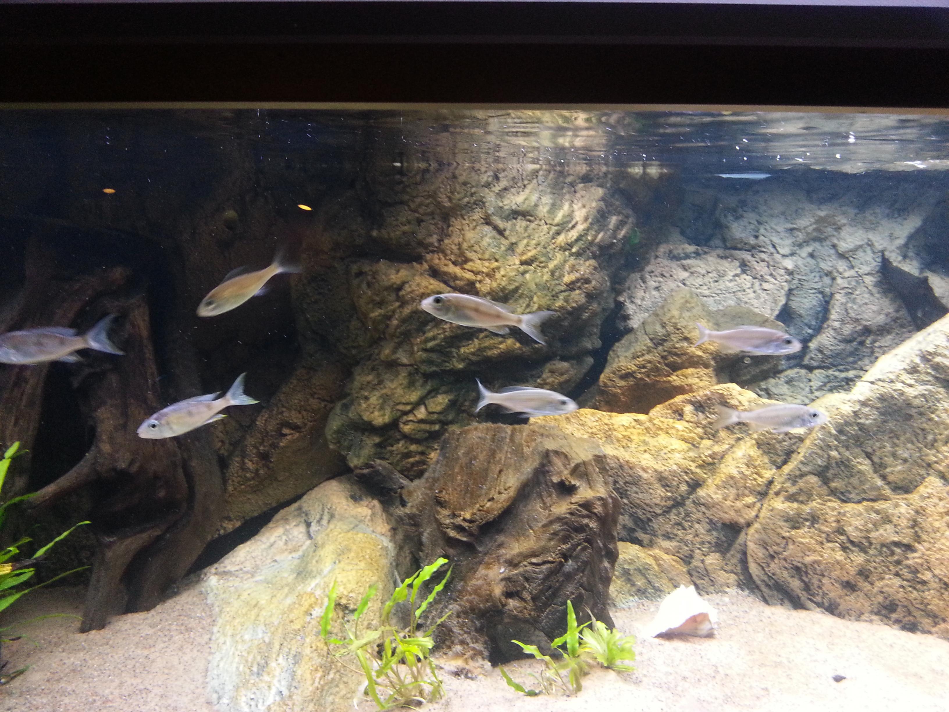 20131005_203715.jpg