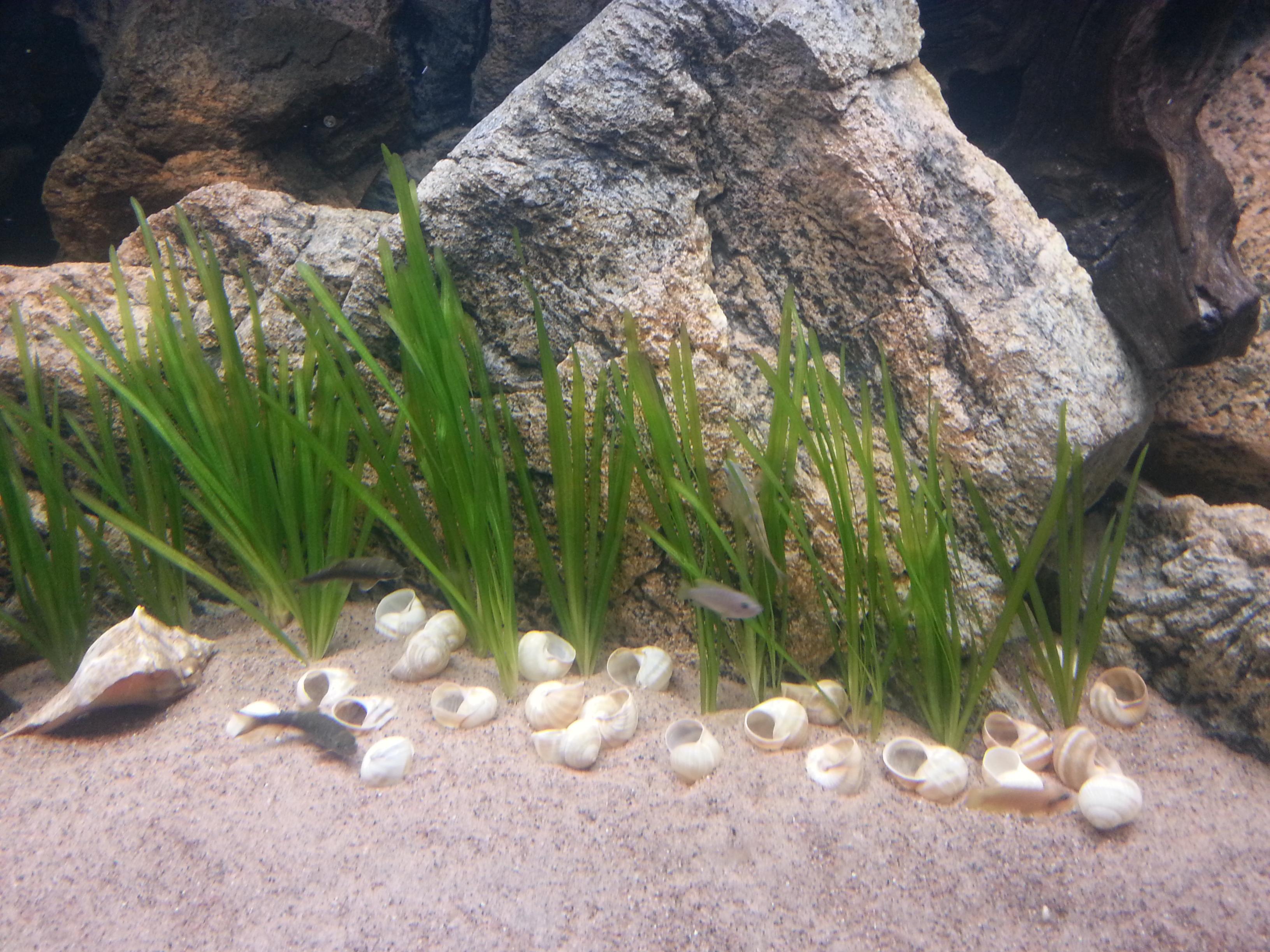 20131018_160903.jpg