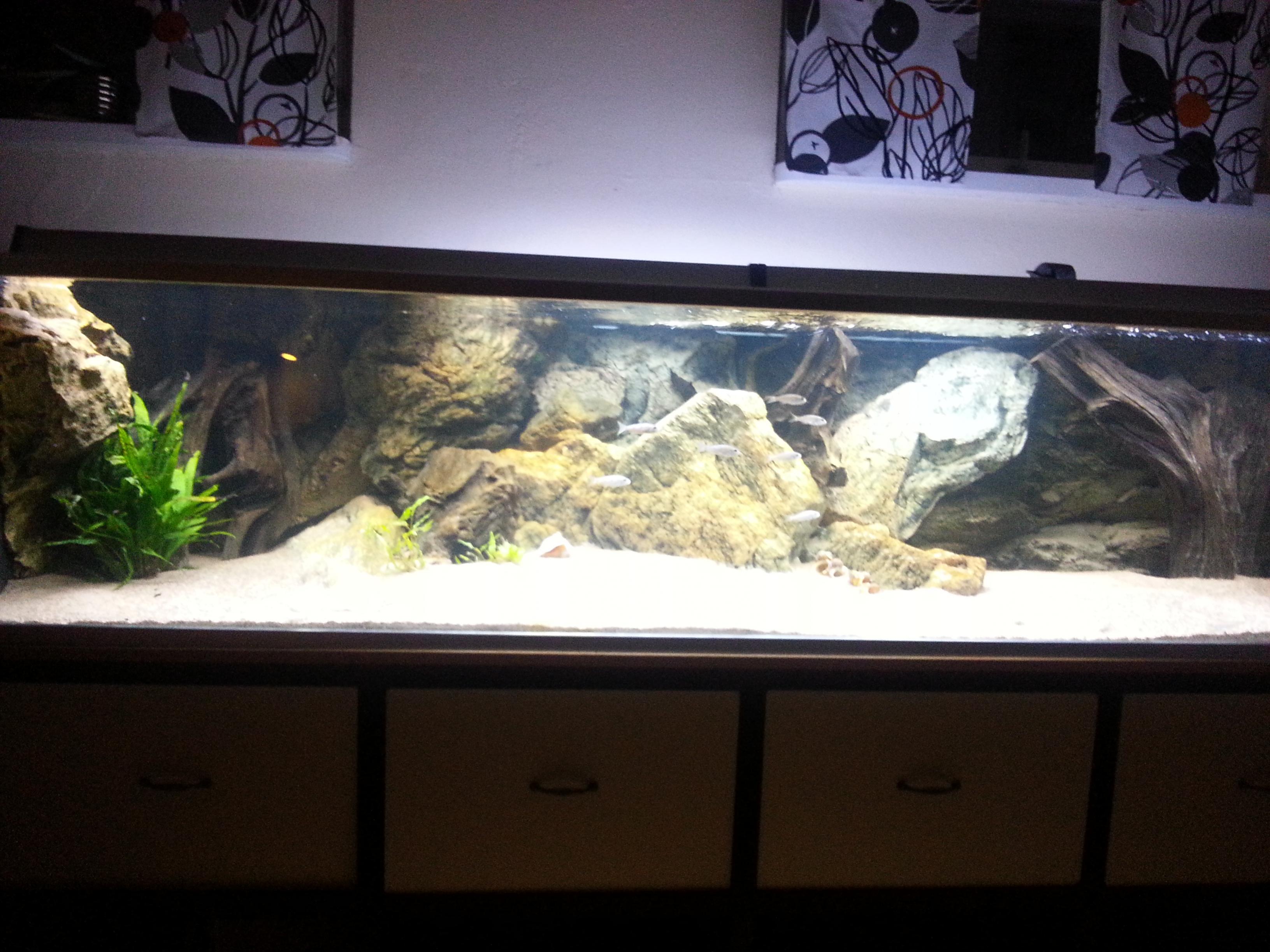 20131005_203643.jpg