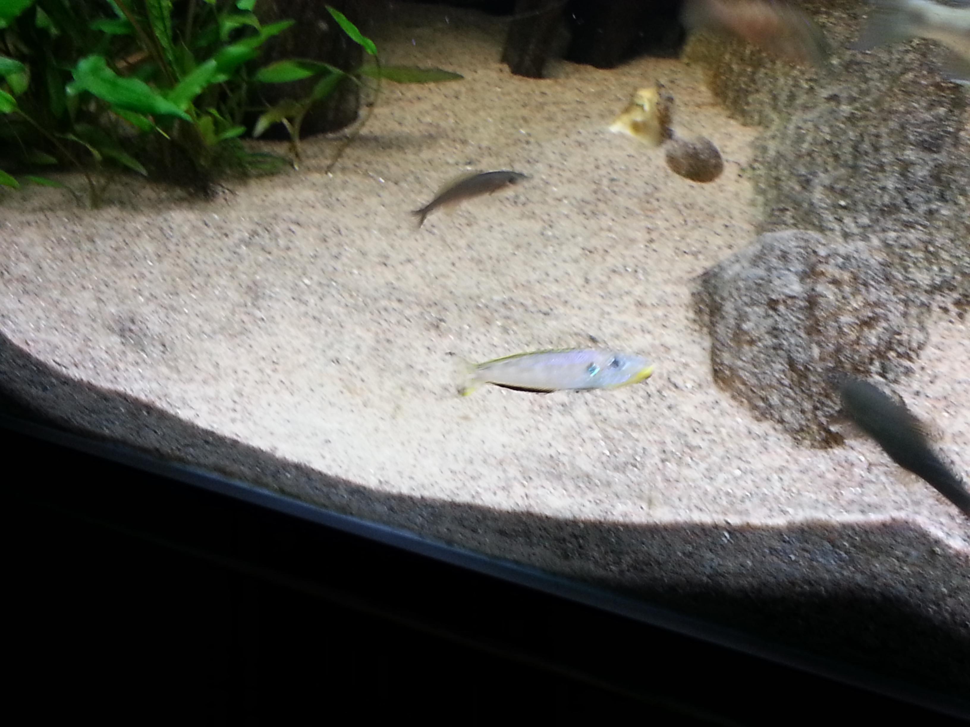 20131122_180443.jpg