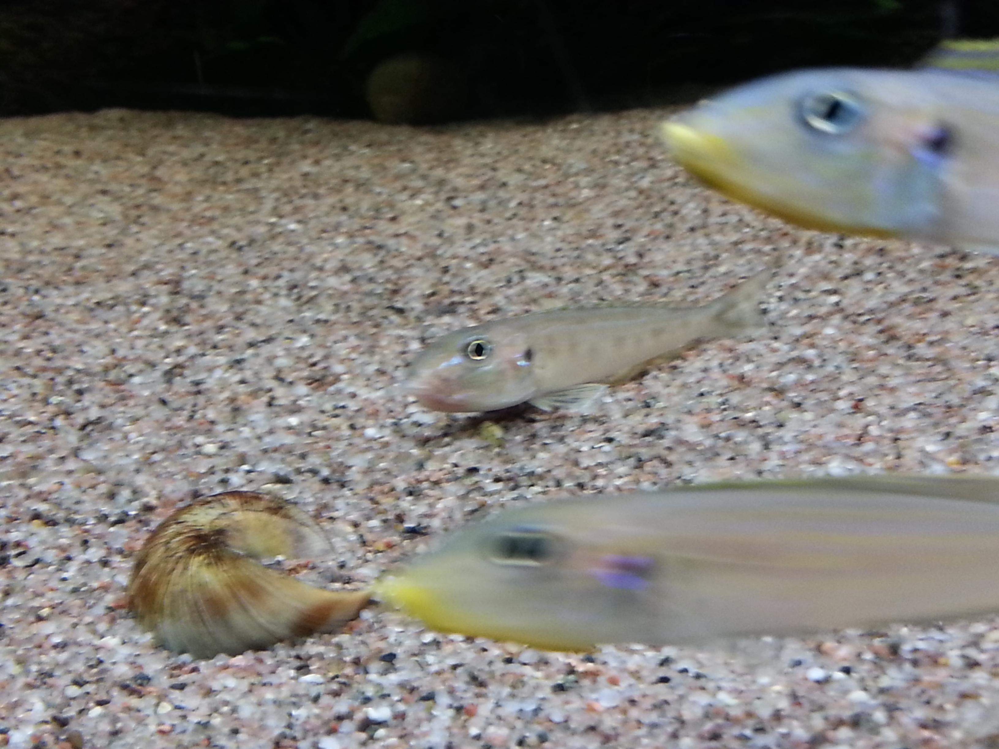 20131122_180113.jpg