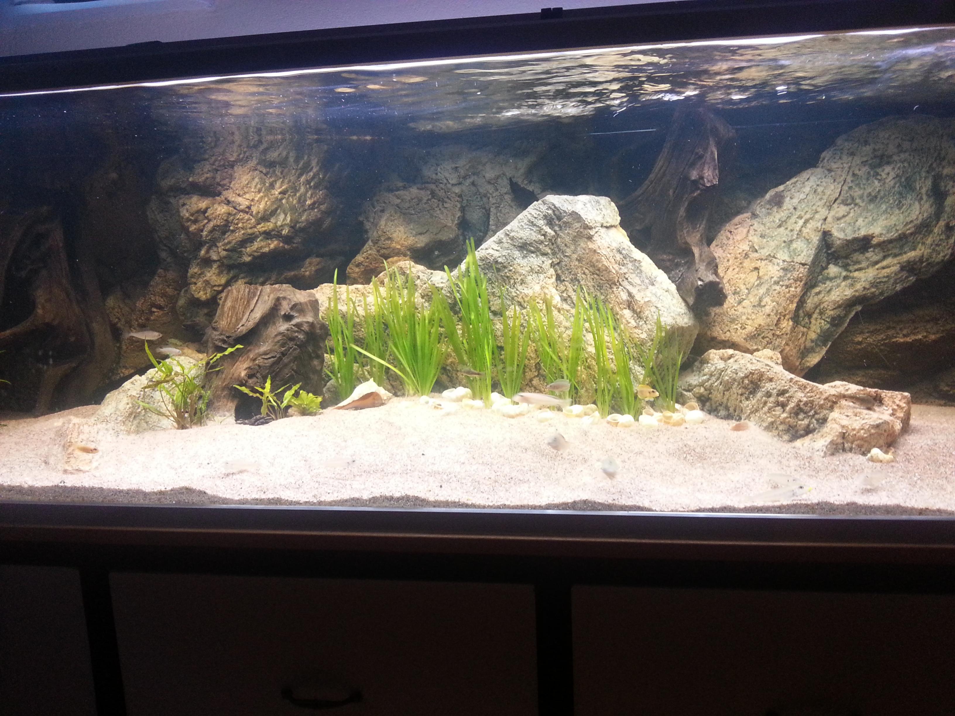 20131018_160045.jpg