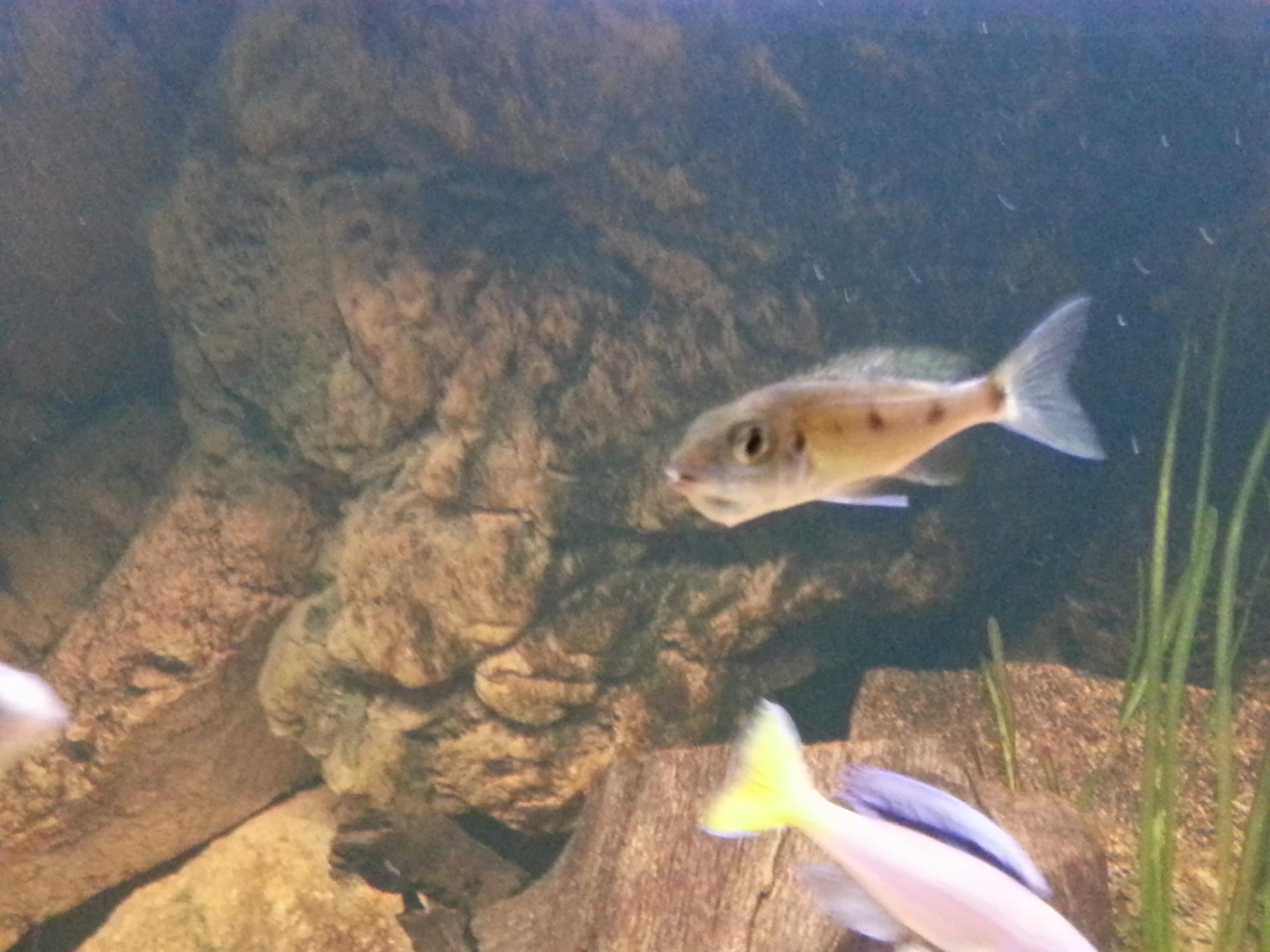 20131122_180308.jpg