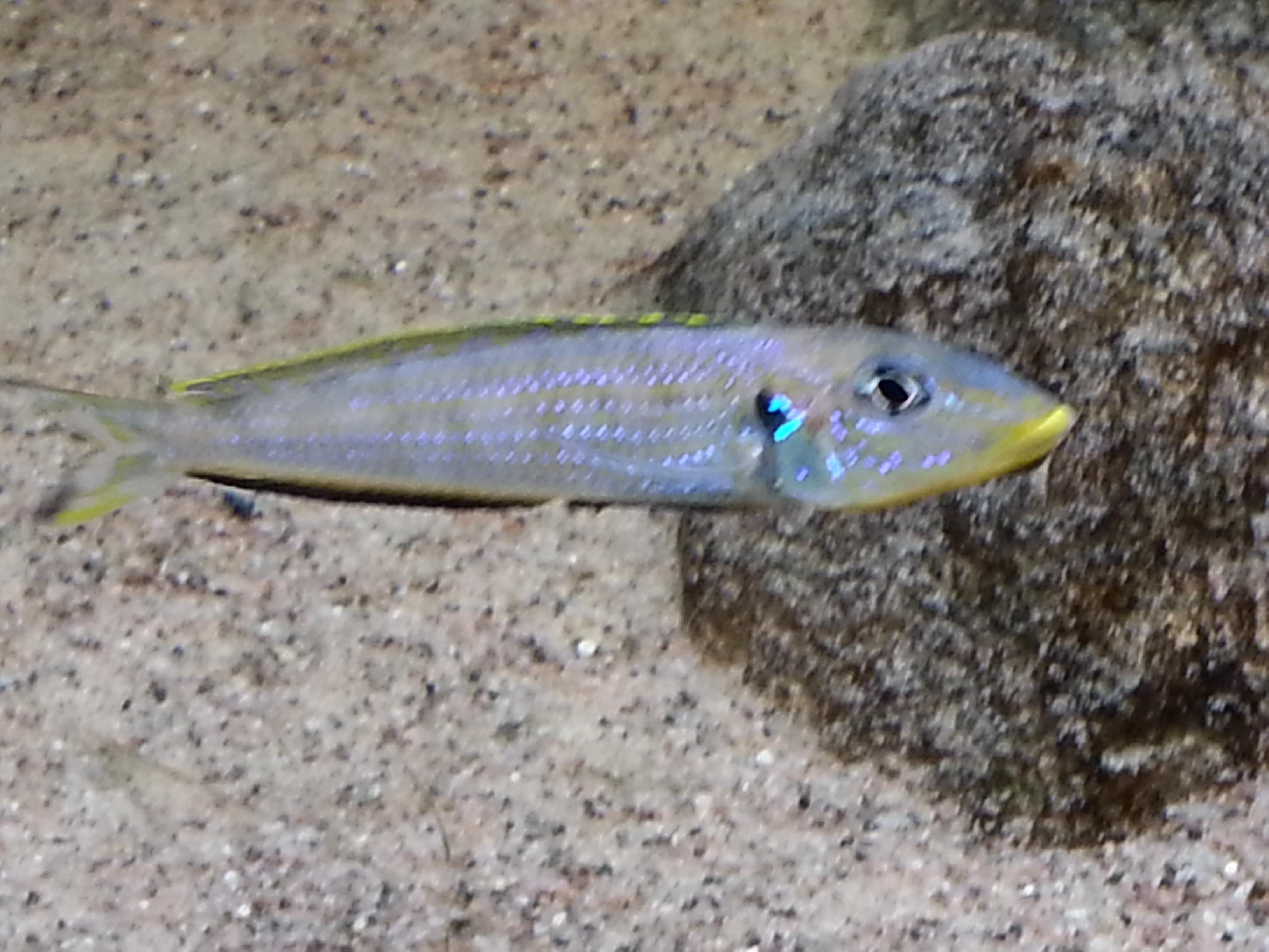 20131122_180515.jpg