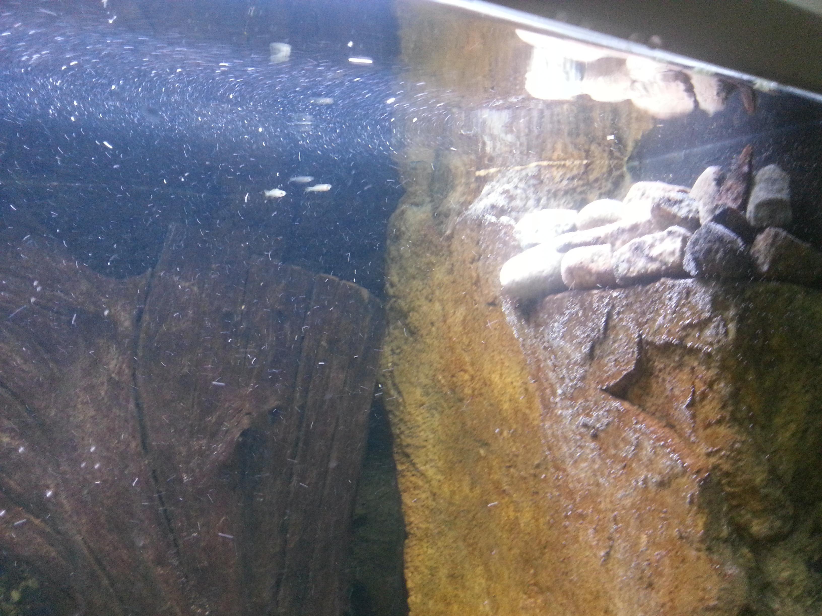 20131123_115357.jpg