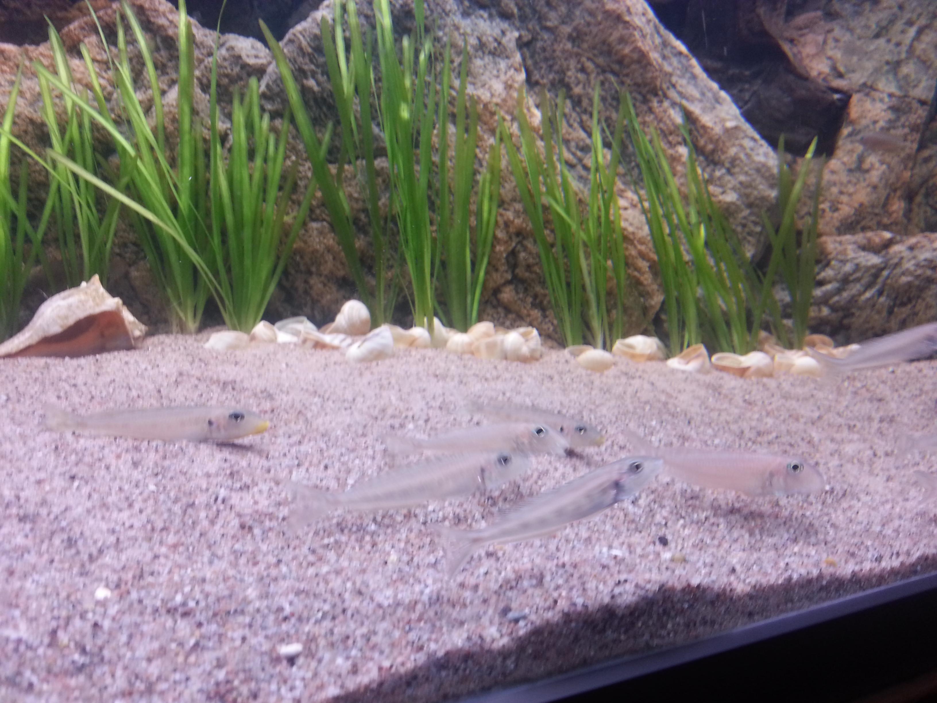 20131018_160108.jpg