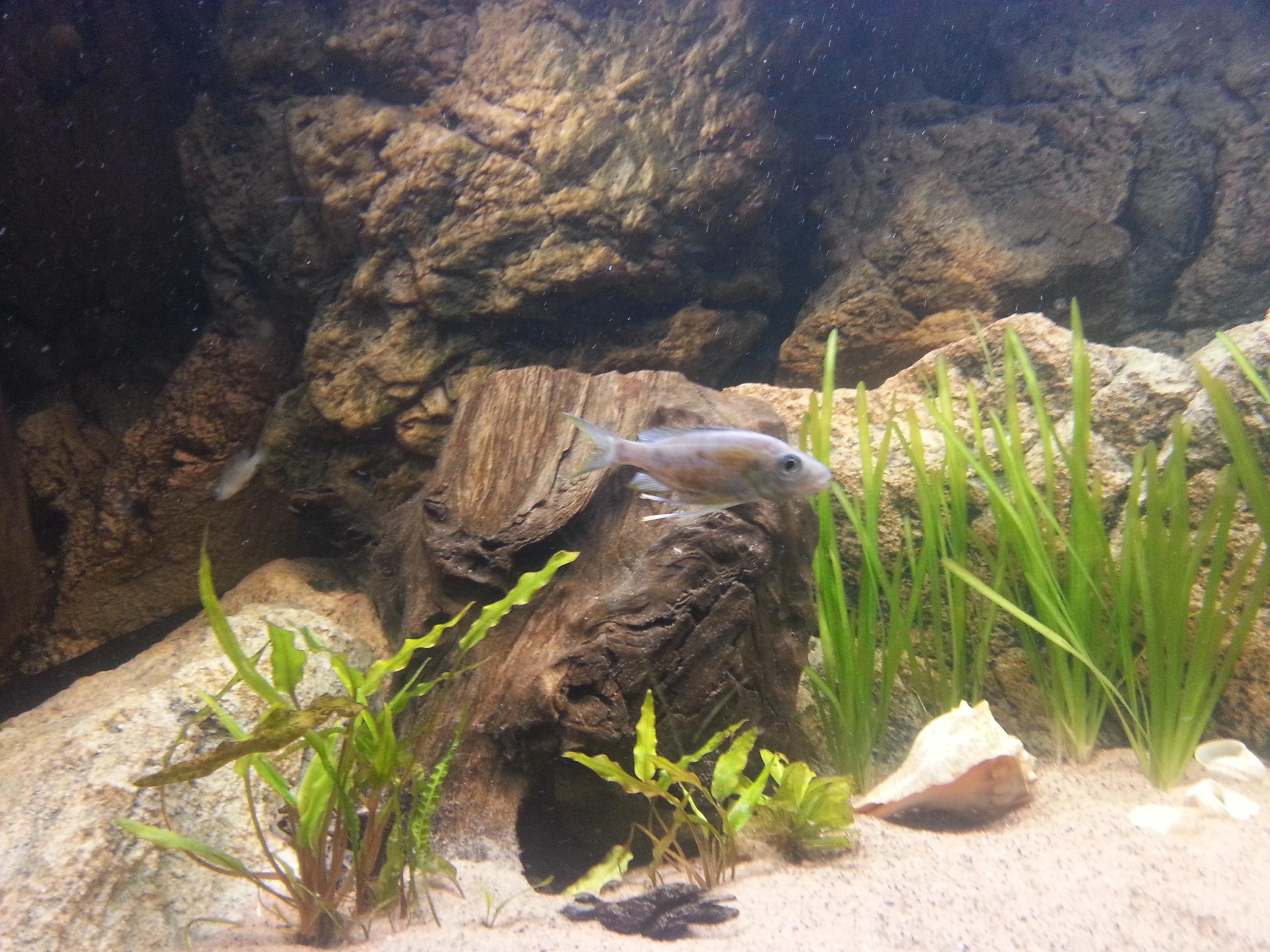 20131018_160506.jpg