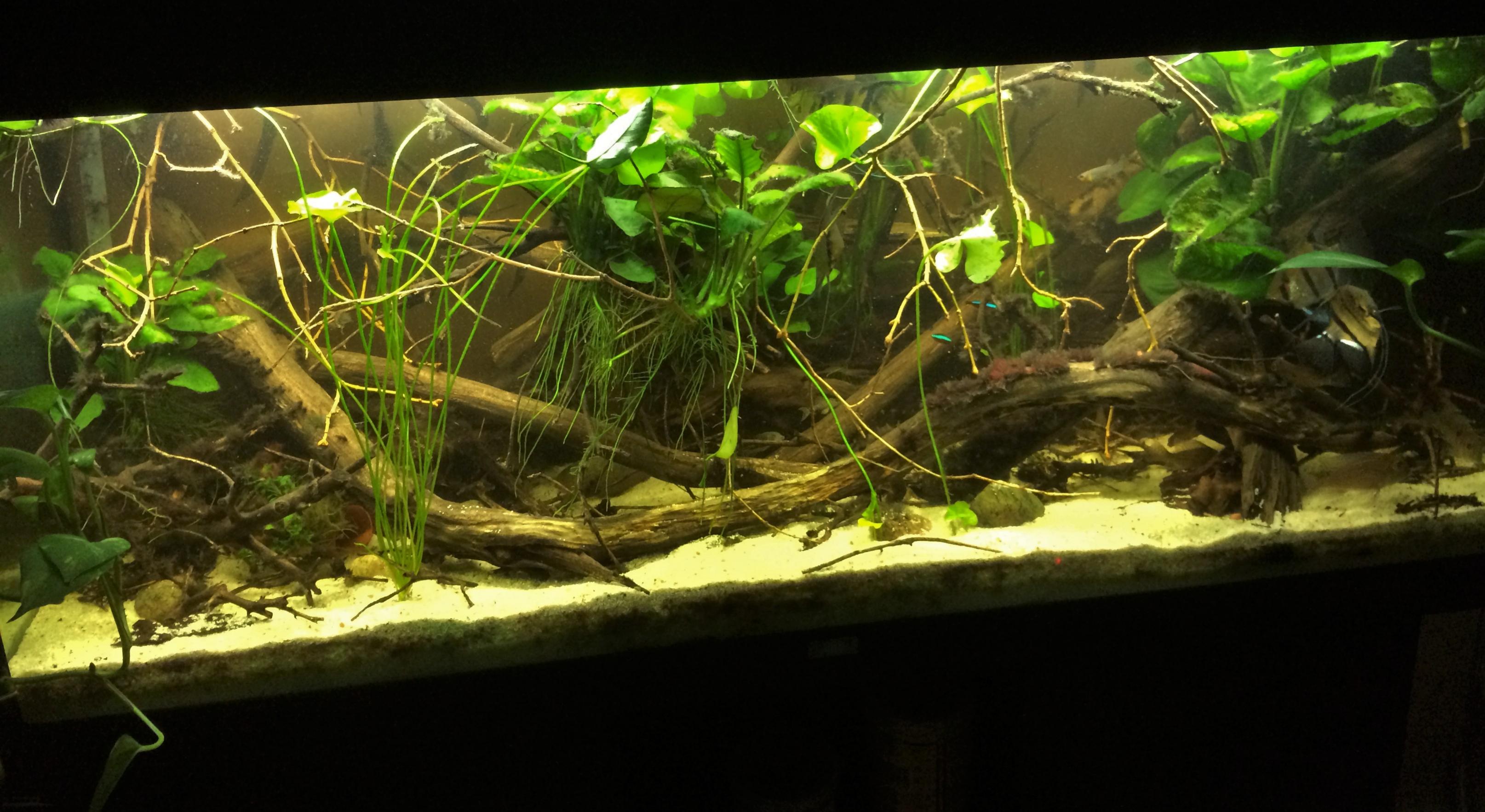 240 liter 07-12-13.jpg
