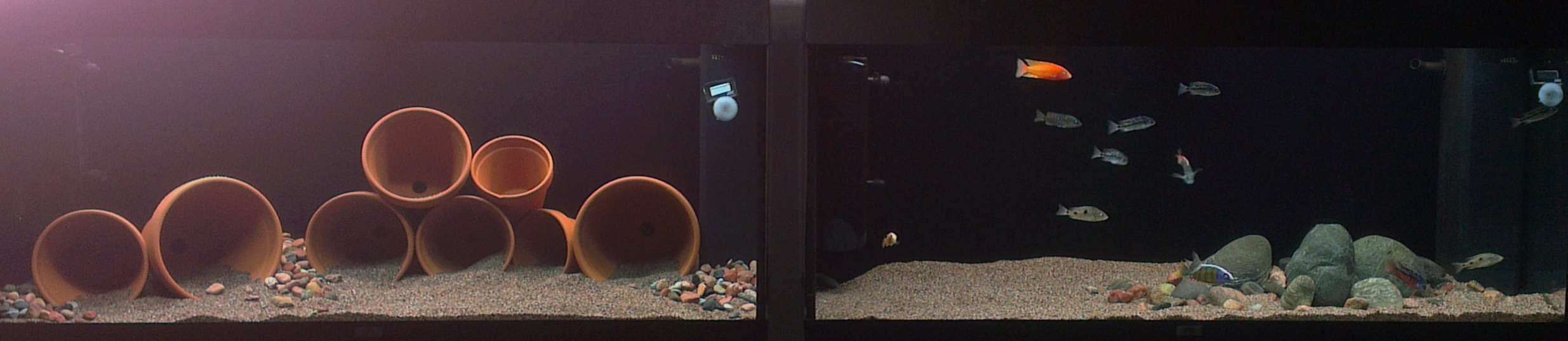 IMAG0946.jpg