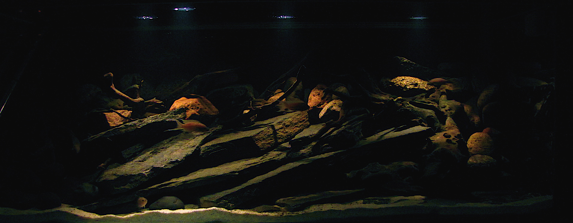 IMG_9552.JPG