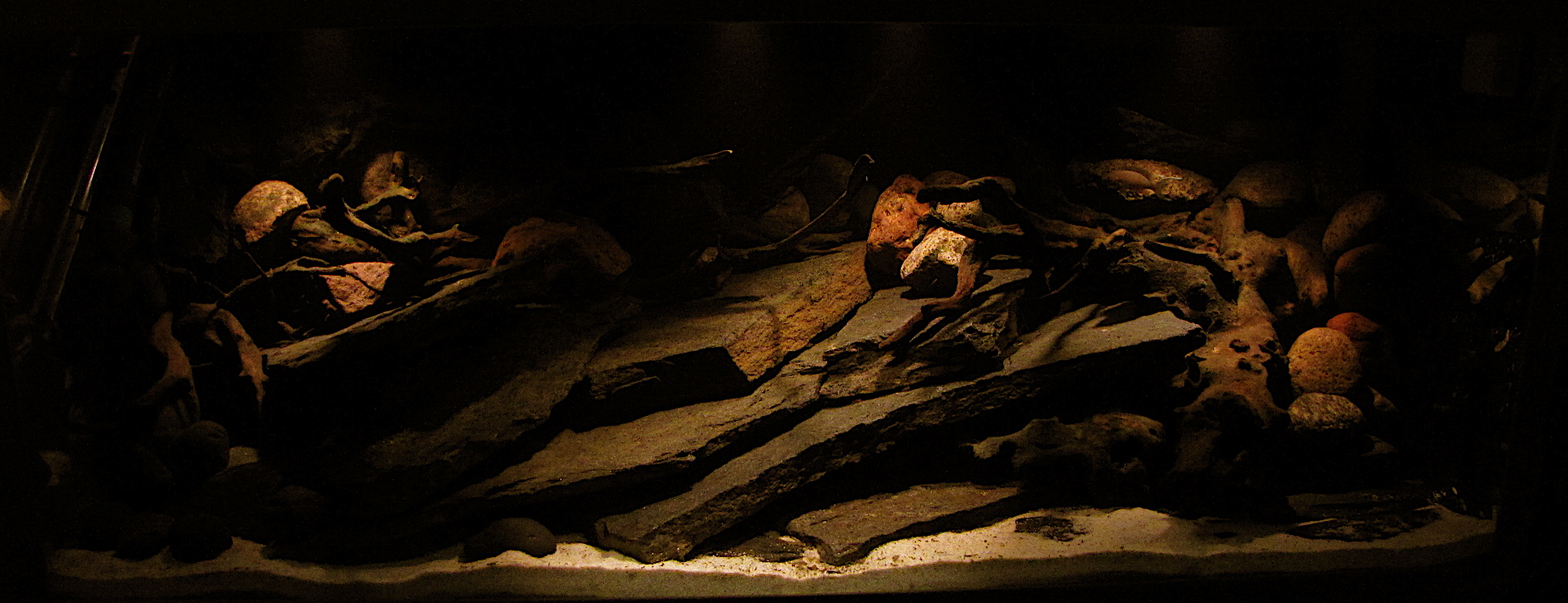 IMG_9506_2.JPG