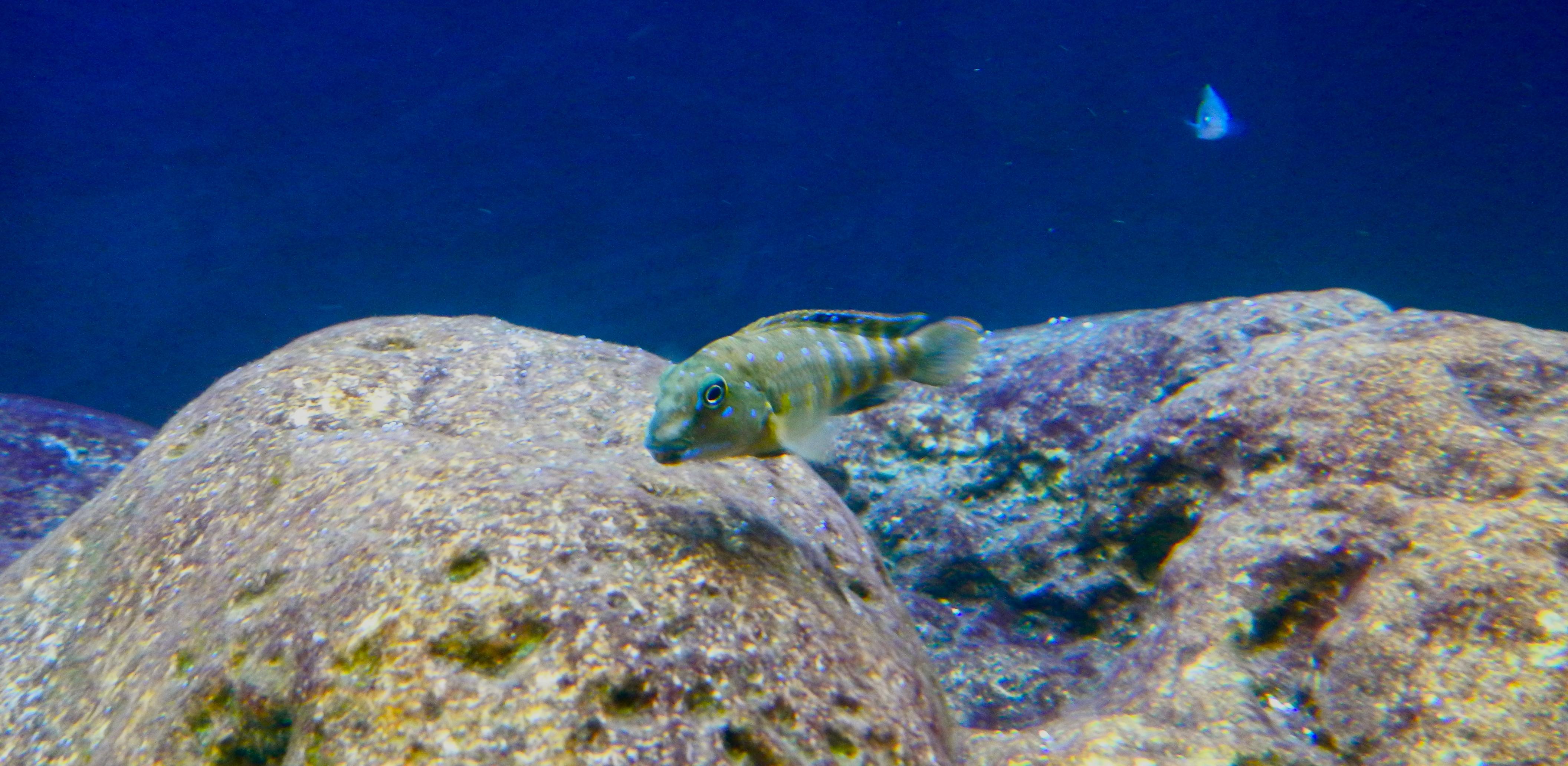 DSCN0354.jpg