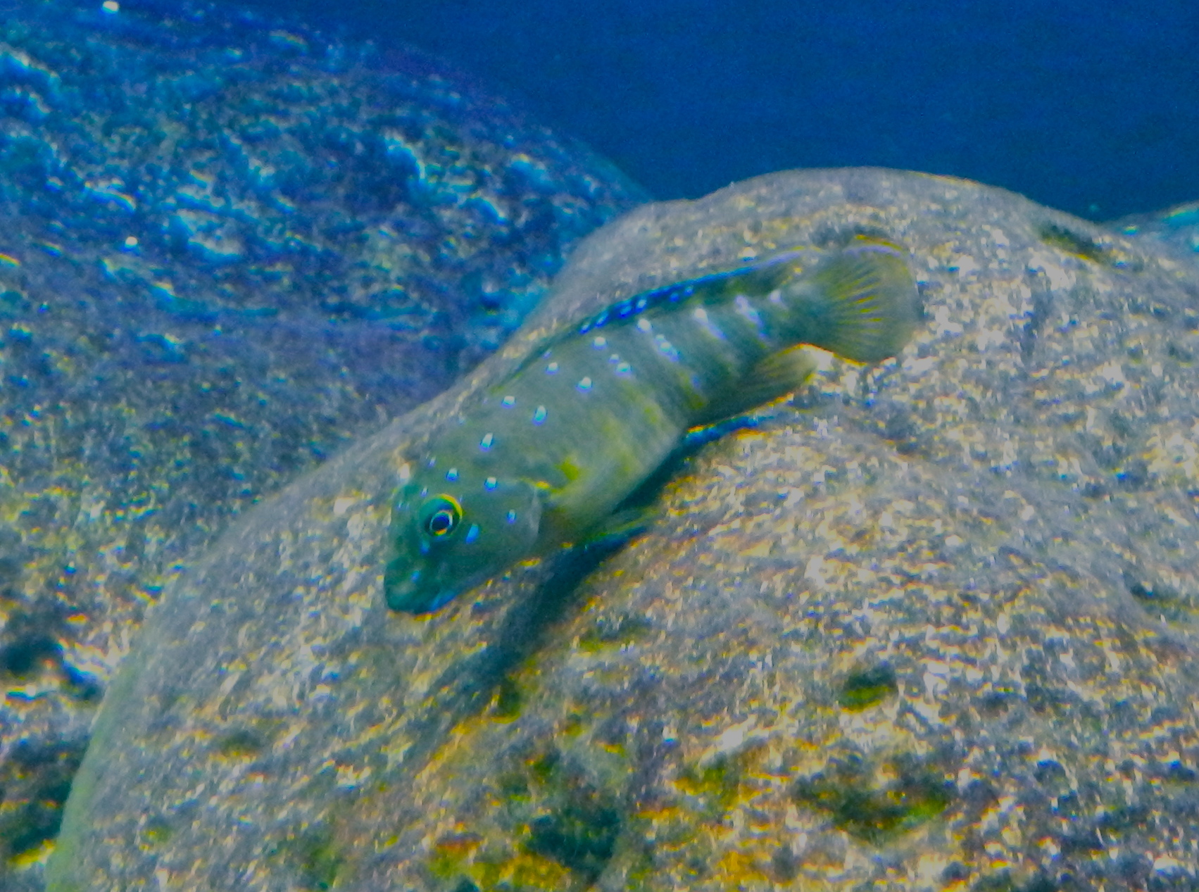 DSCN0337.JPG