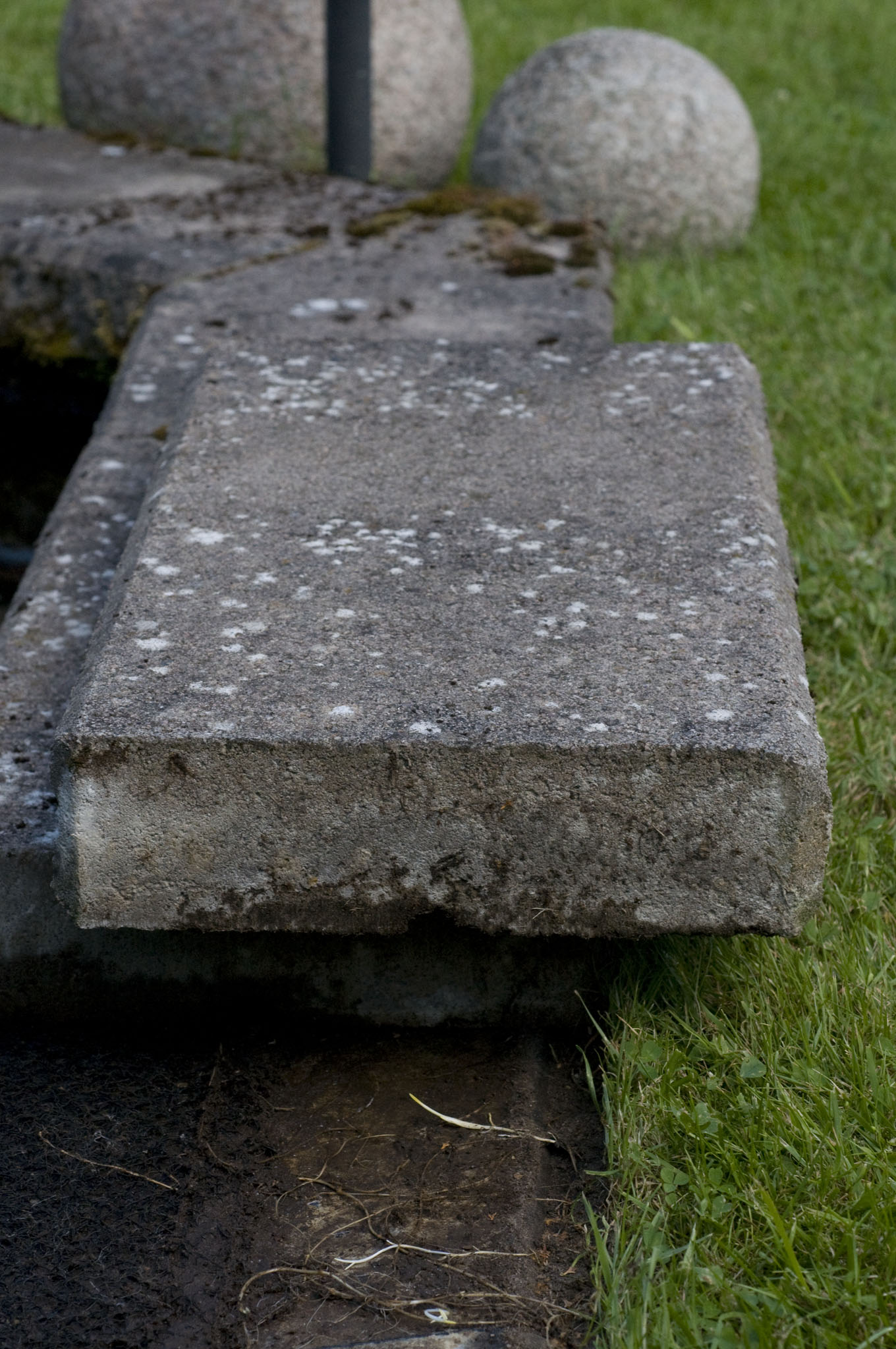 DSC_9339.JPG