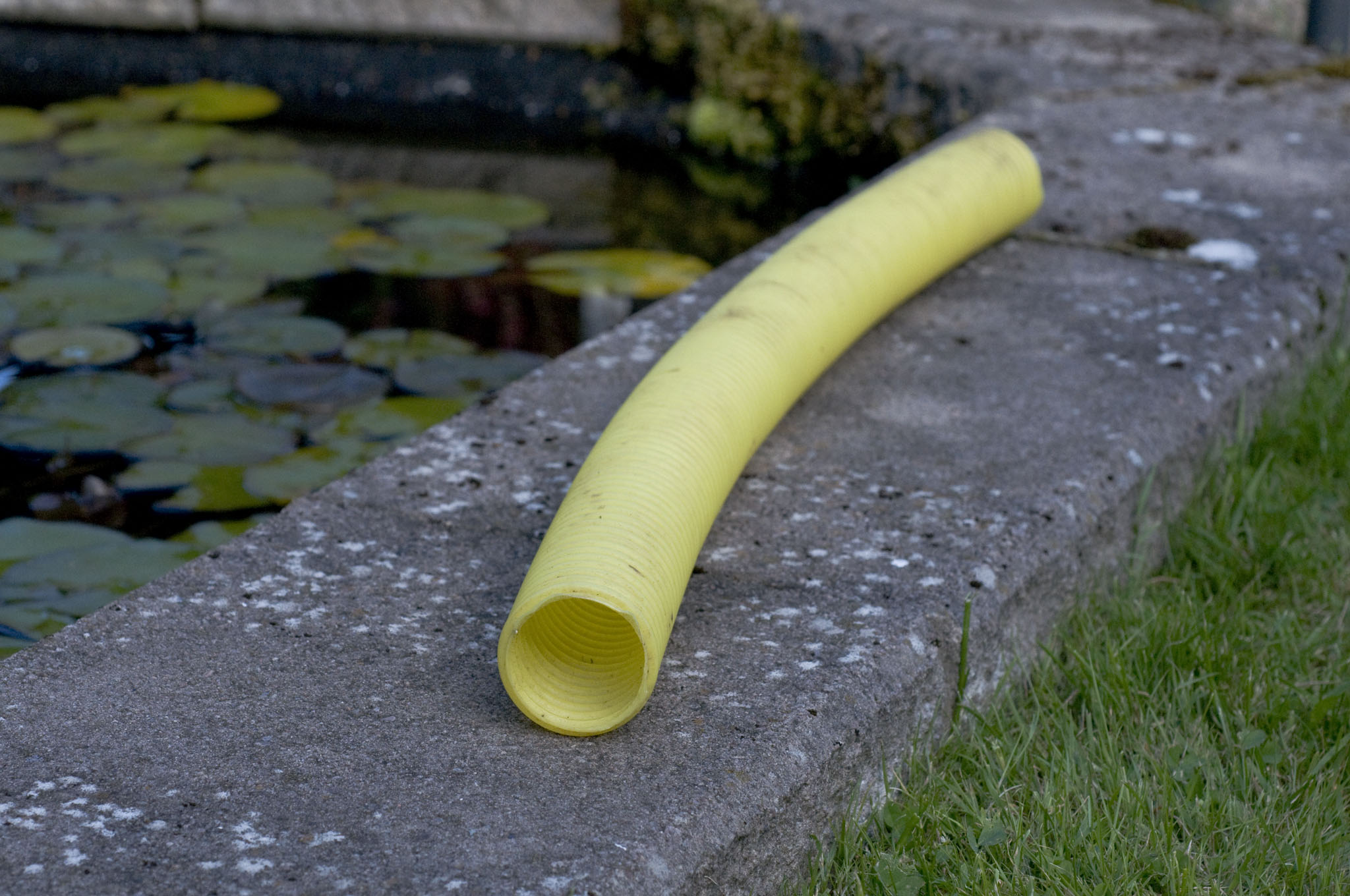 DSC_9332.JPG