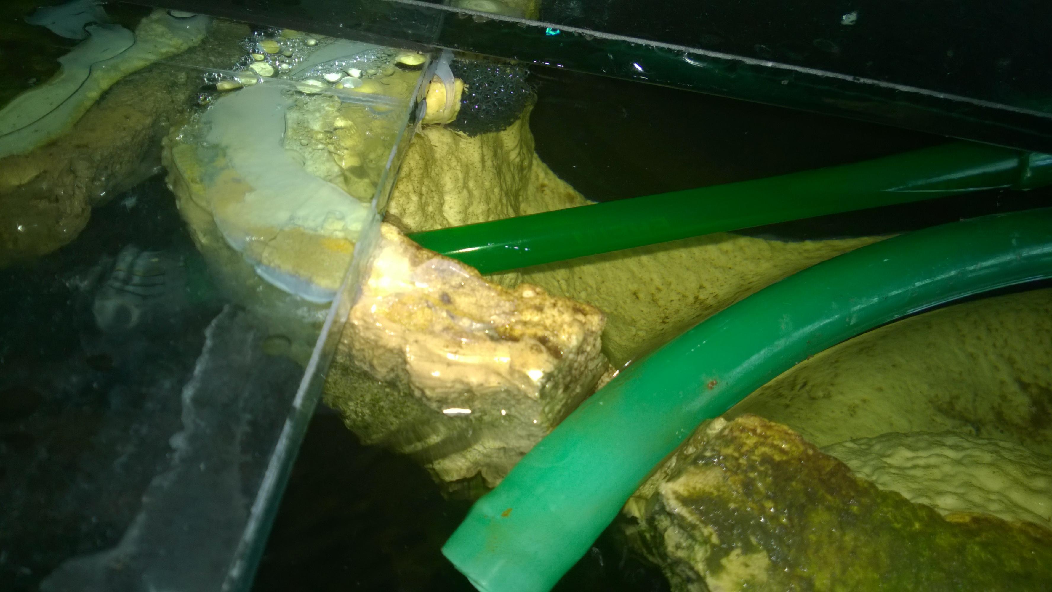 WP_20140616_002.jpg