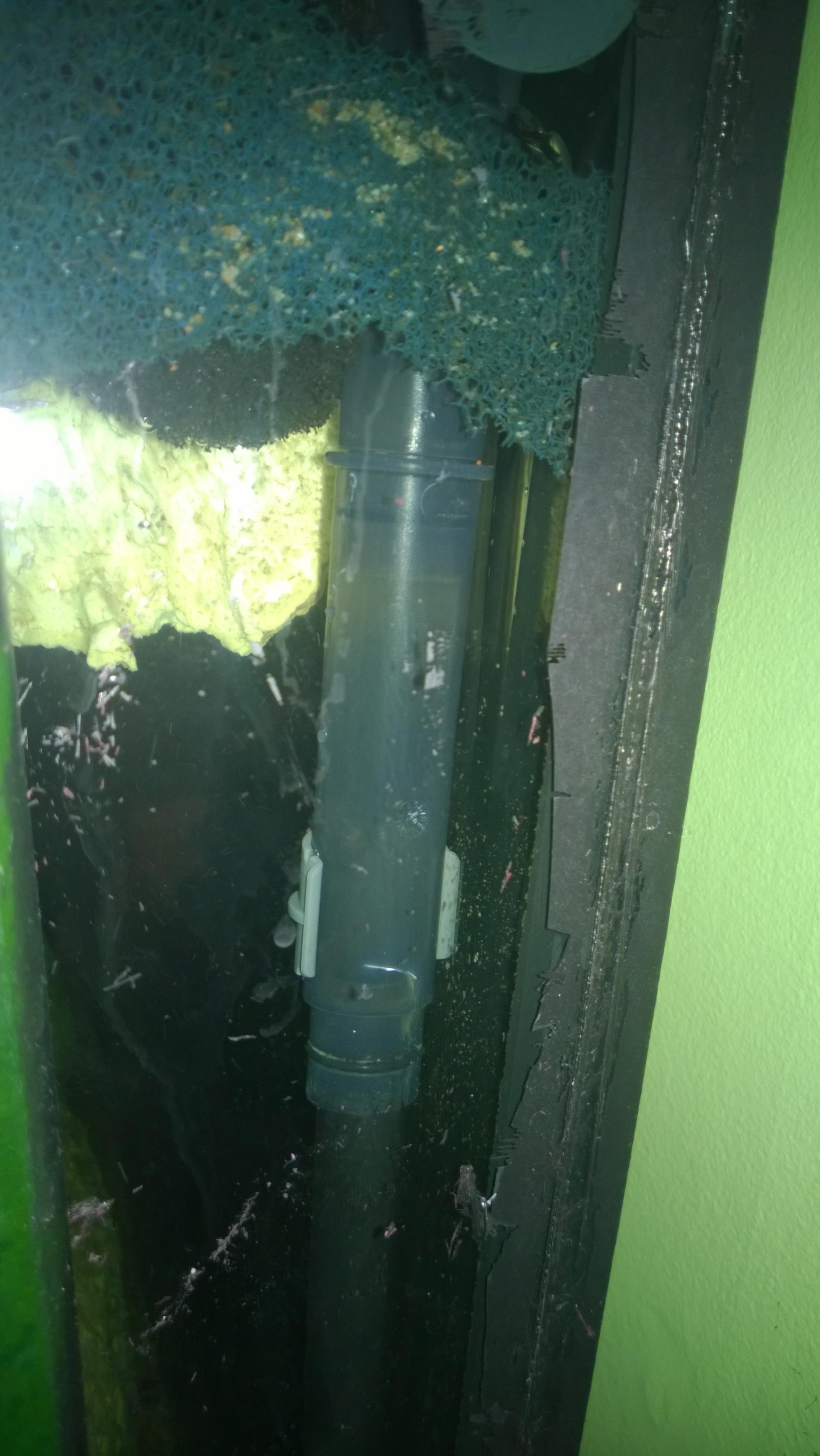 WP_20140616_004.jpg