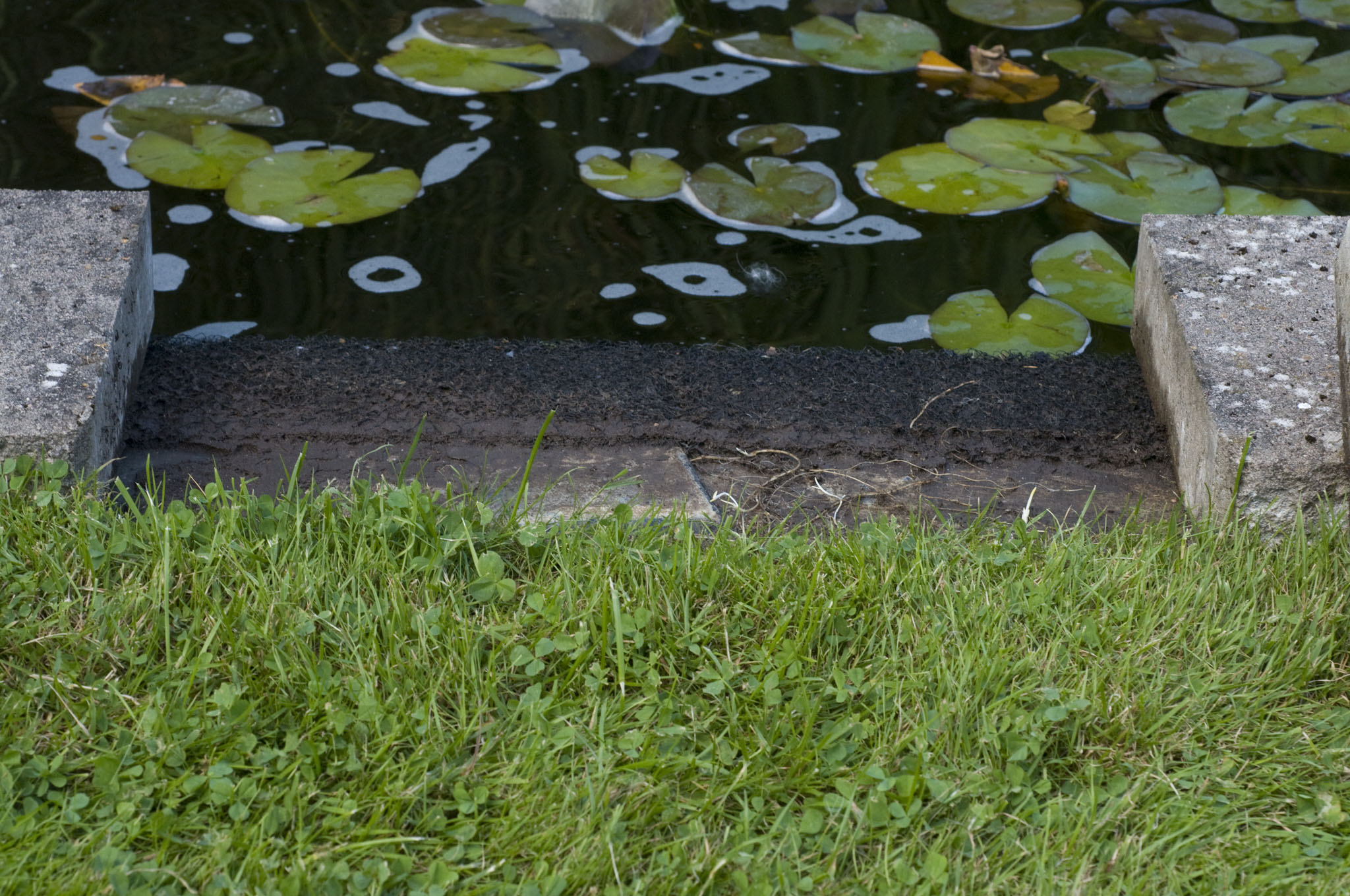 DSC_9337.JPG