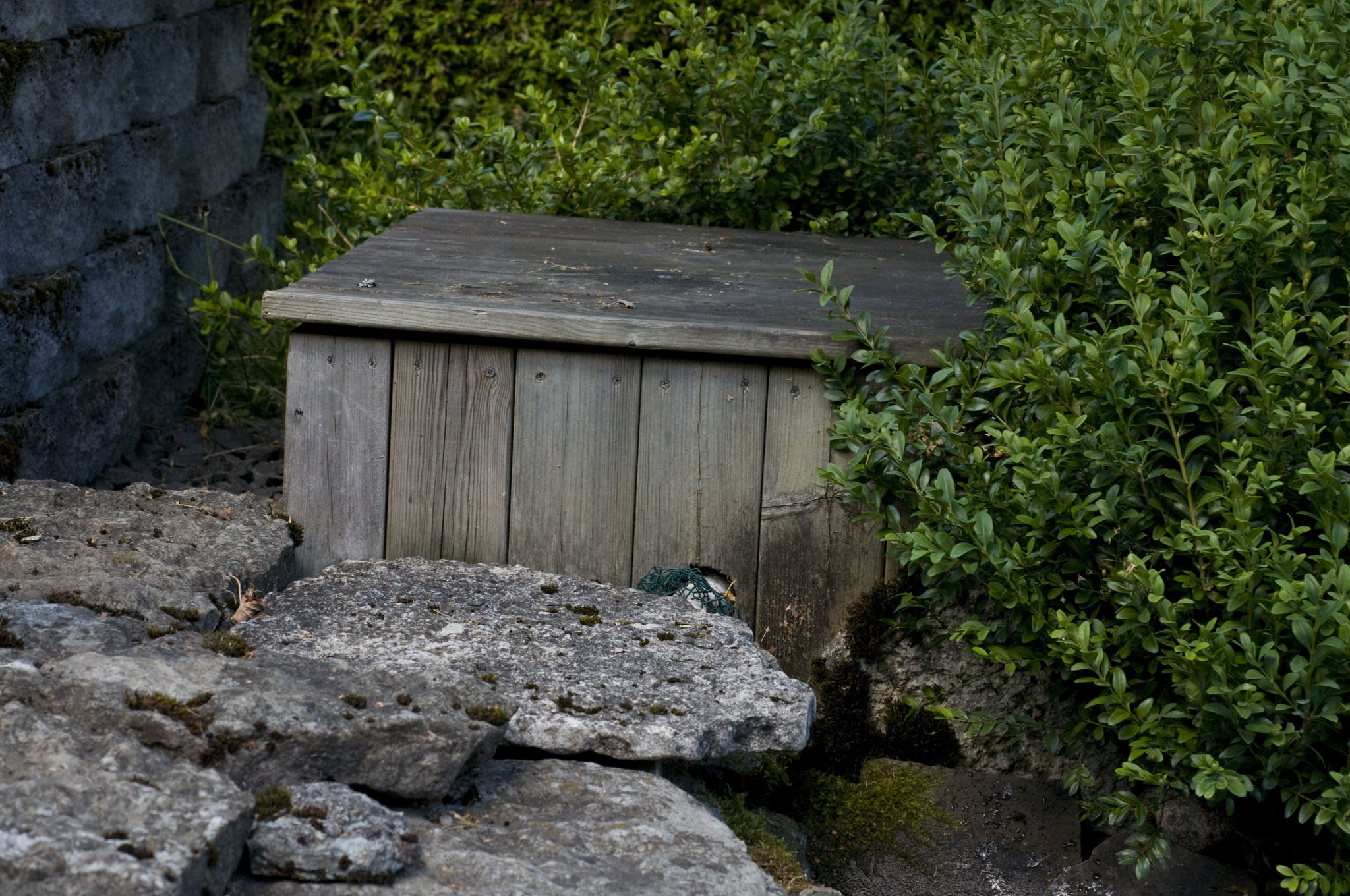 DSC_9340.JPG