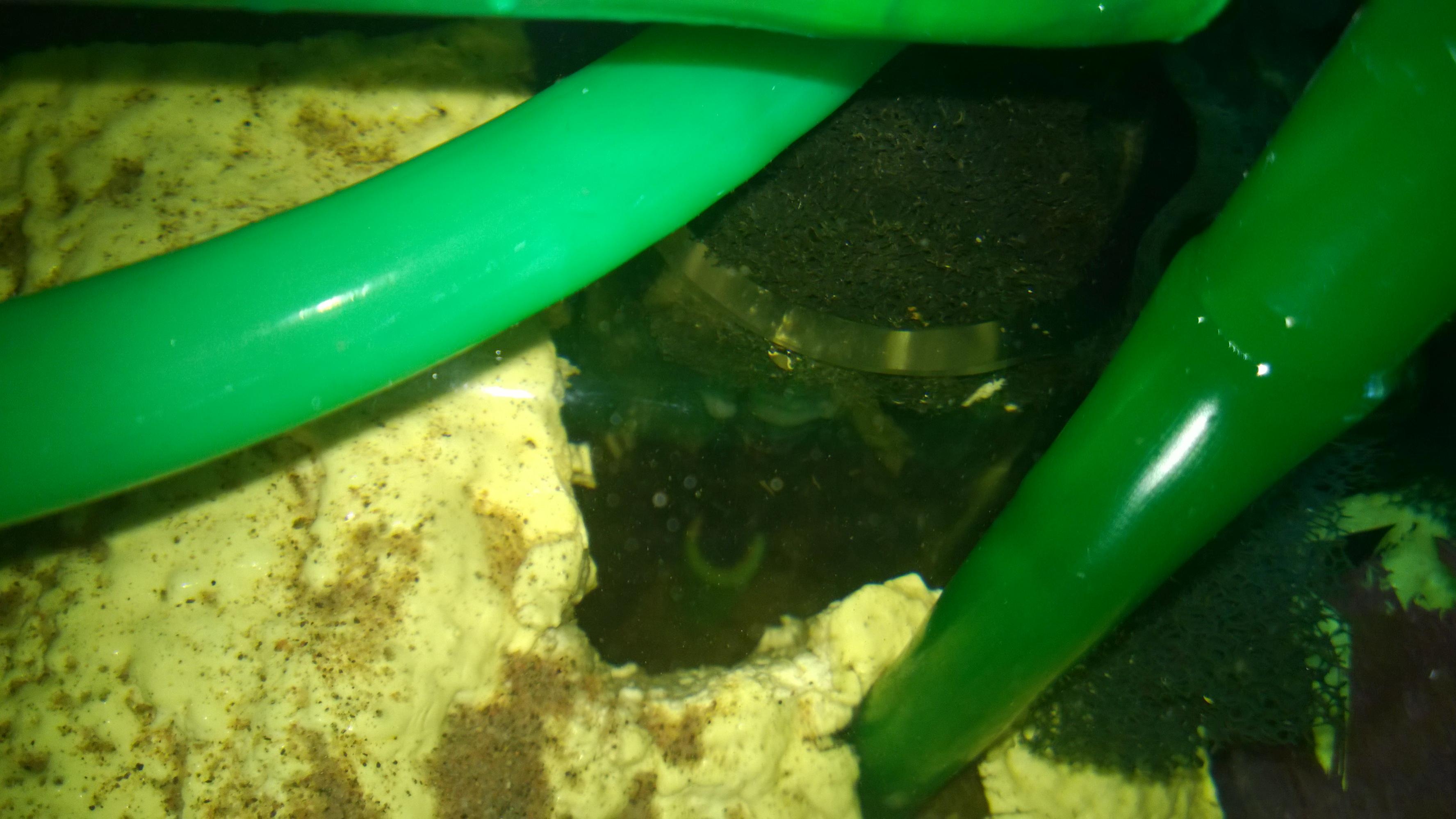 WP_20140616_006.jpg