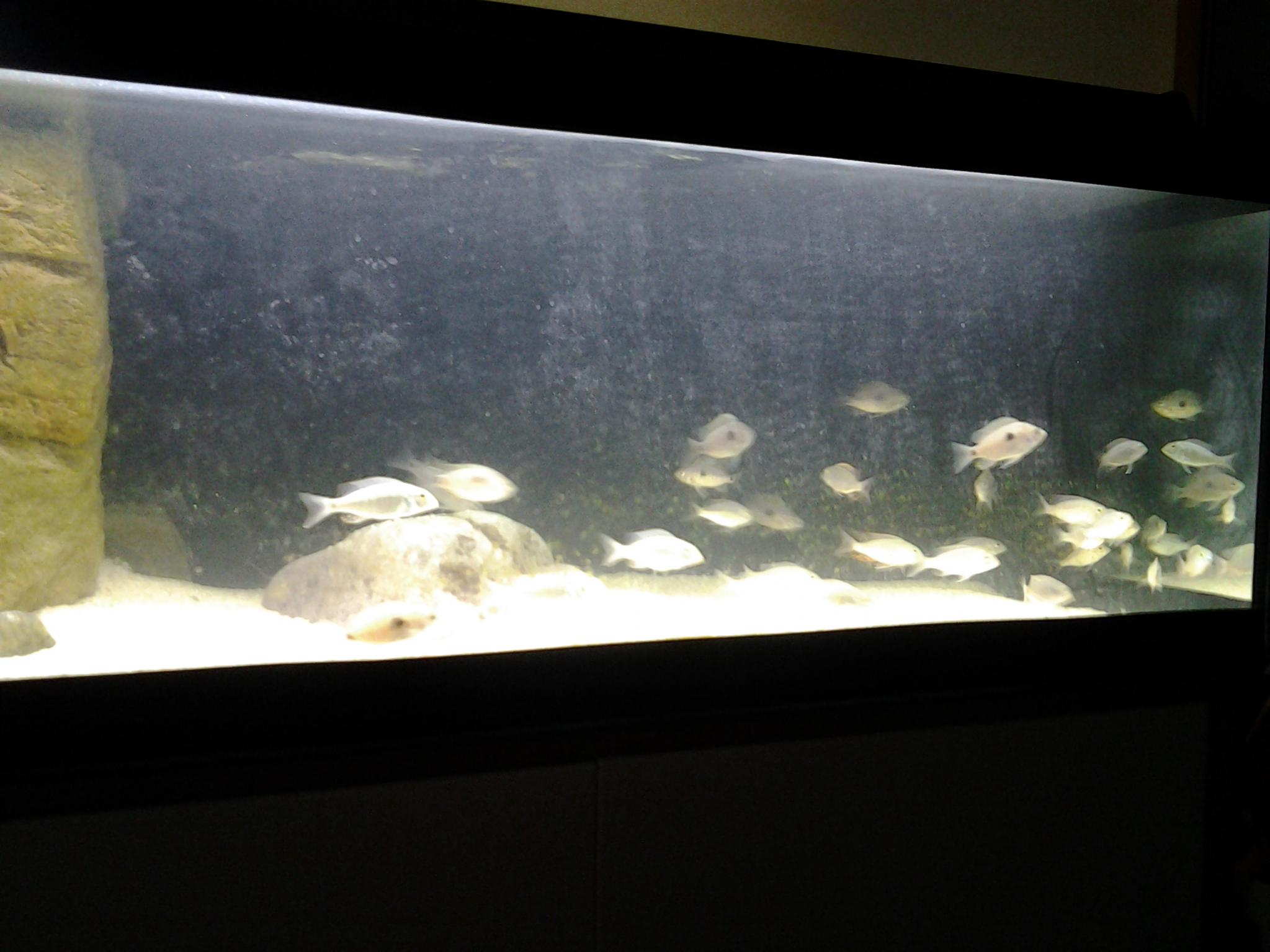 20121224_200707.jpg