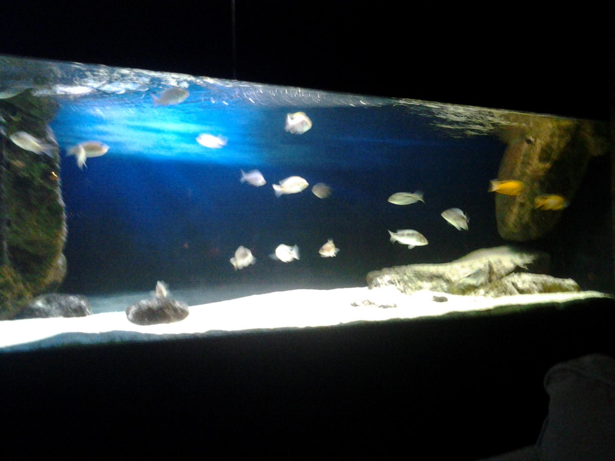 20121222_193218.jpg