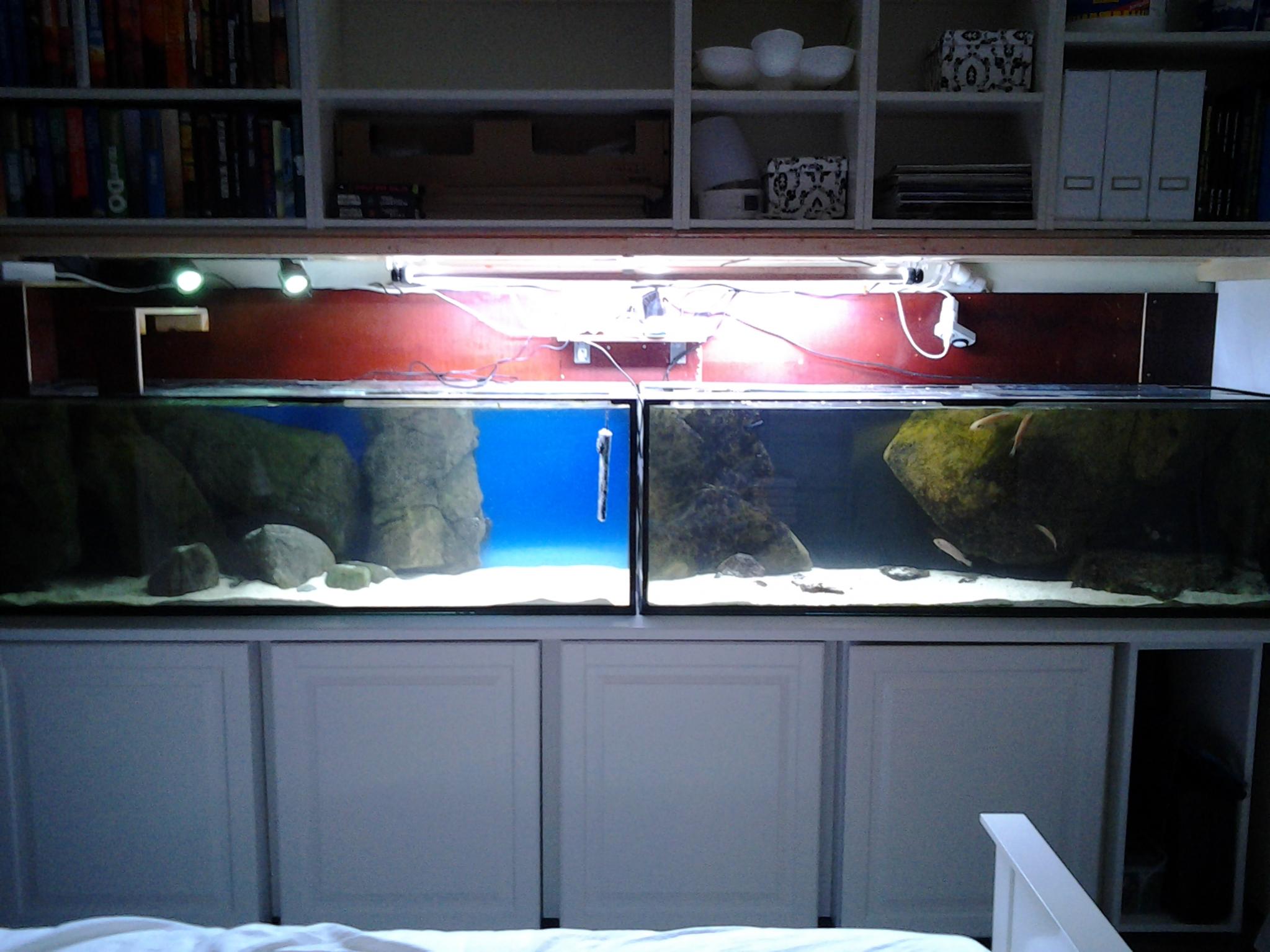 20121224_200143.jpg