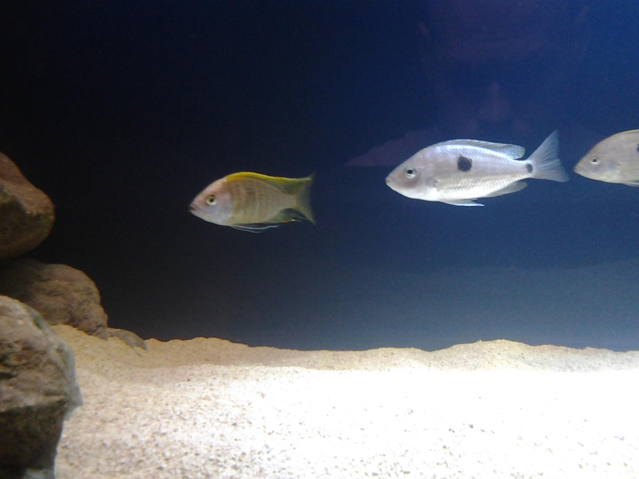 20121224_195416.jpg
