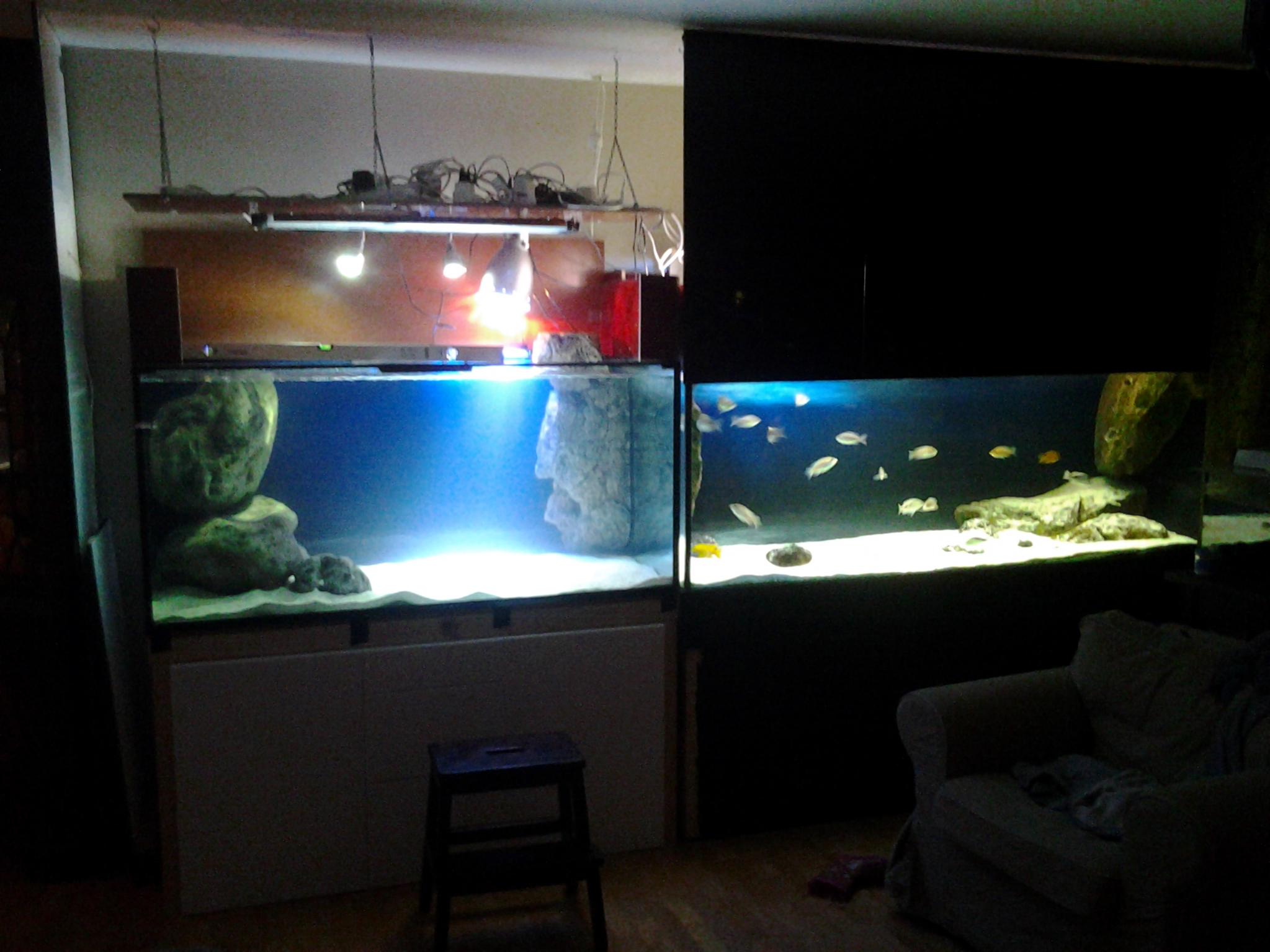 20121222_193245.jpg