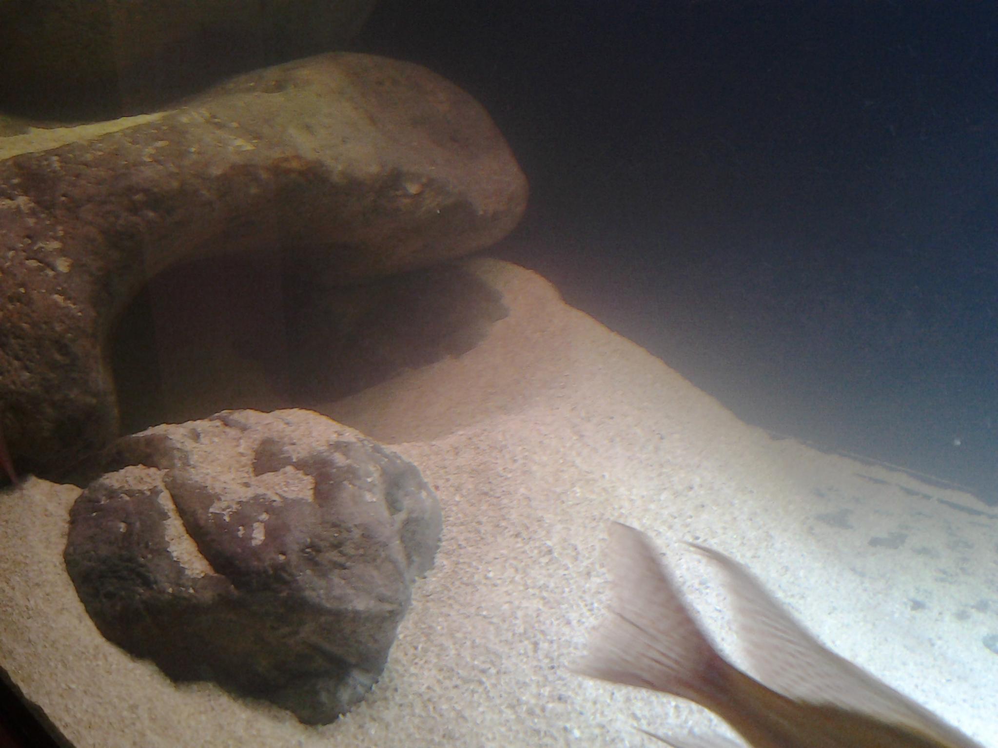 20121230_200530.jpg