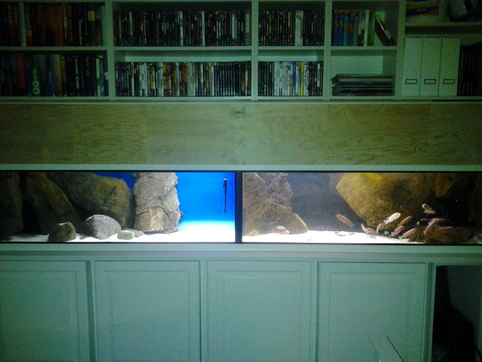 20130112_173231.jpg