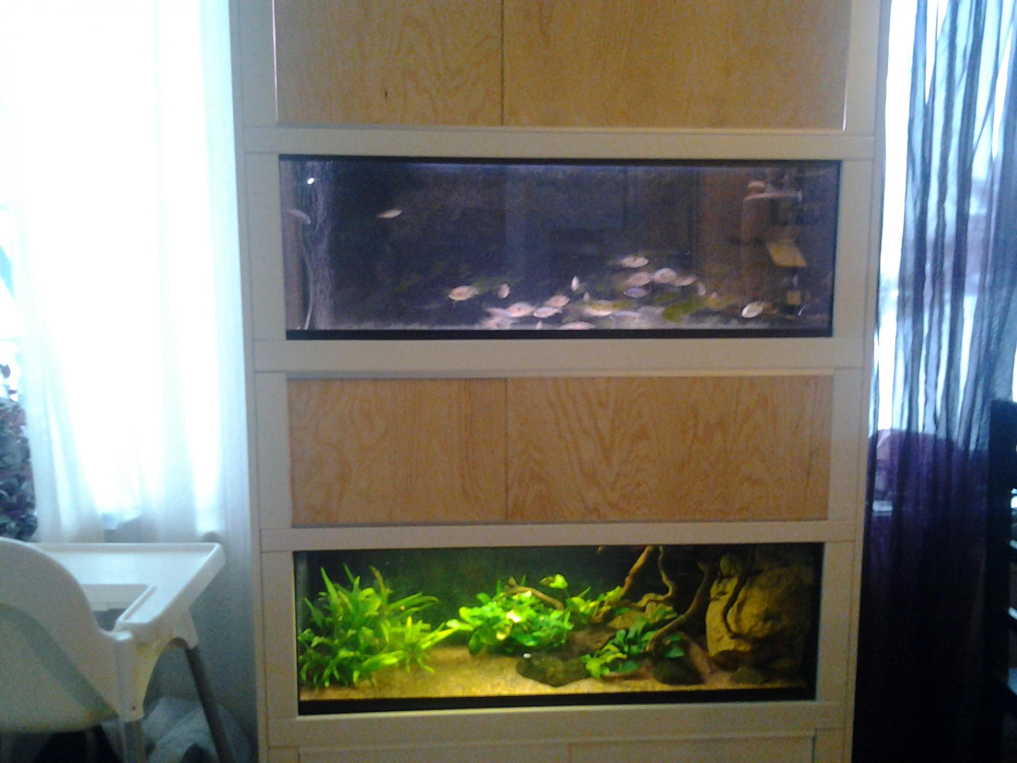 20130210_153137.jpg