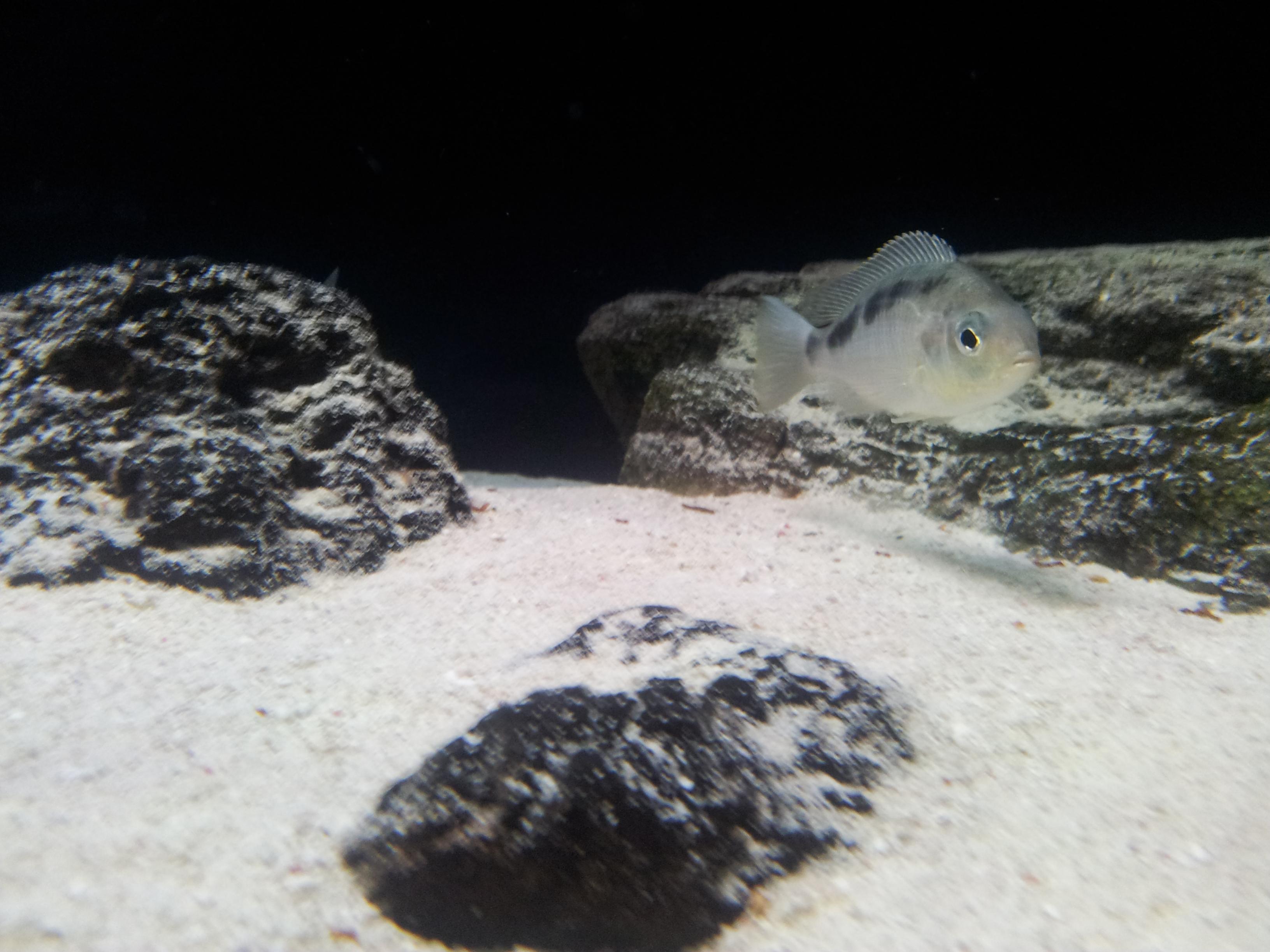 20130121_172823.jpg